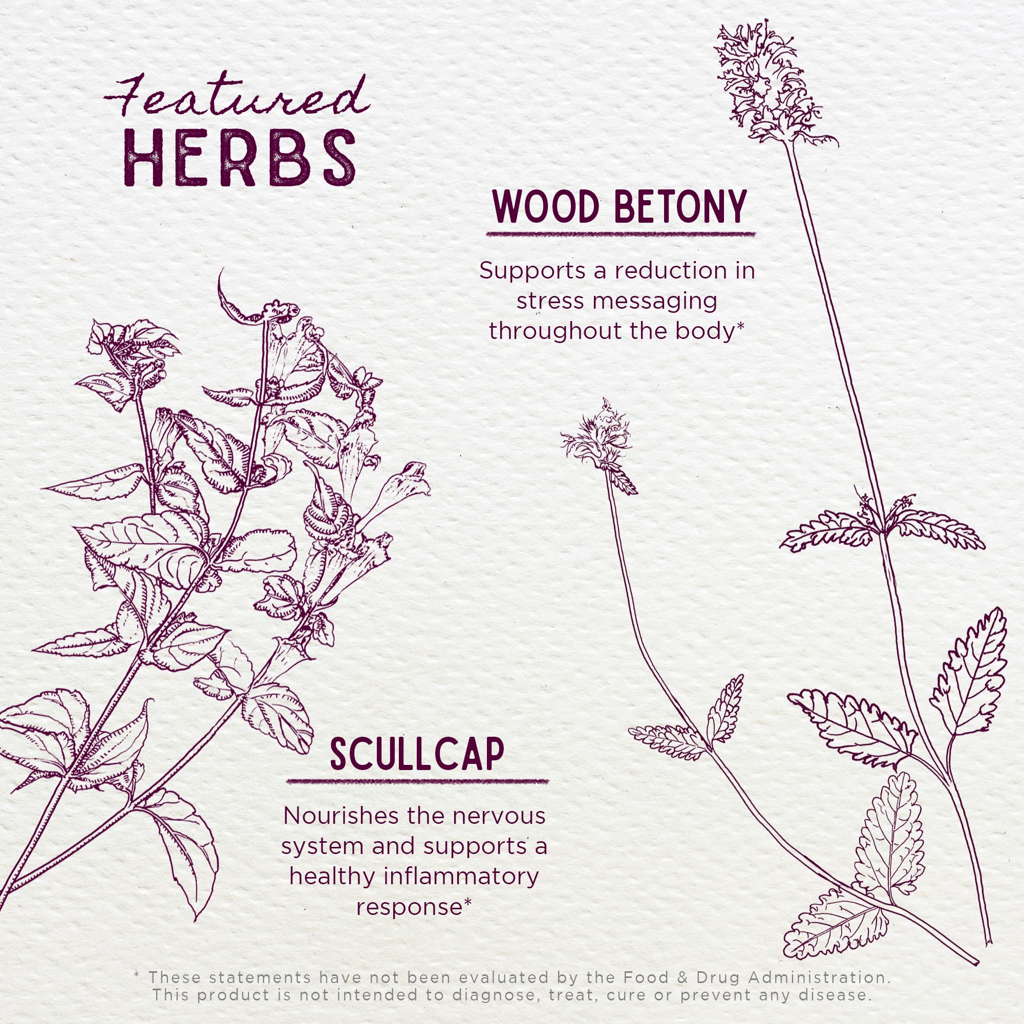 WishGarden Herbs Serious Relaxer, Liquid Herbal Muscle Relaxant with Wild Lettuce & Valerian Root, Eases Neck & Shoulder Tension, Tense Muscles, Muscle Spasms & Restless Legs, Non-GMO, Vegan, 4oz WishGarden buy supplements canada