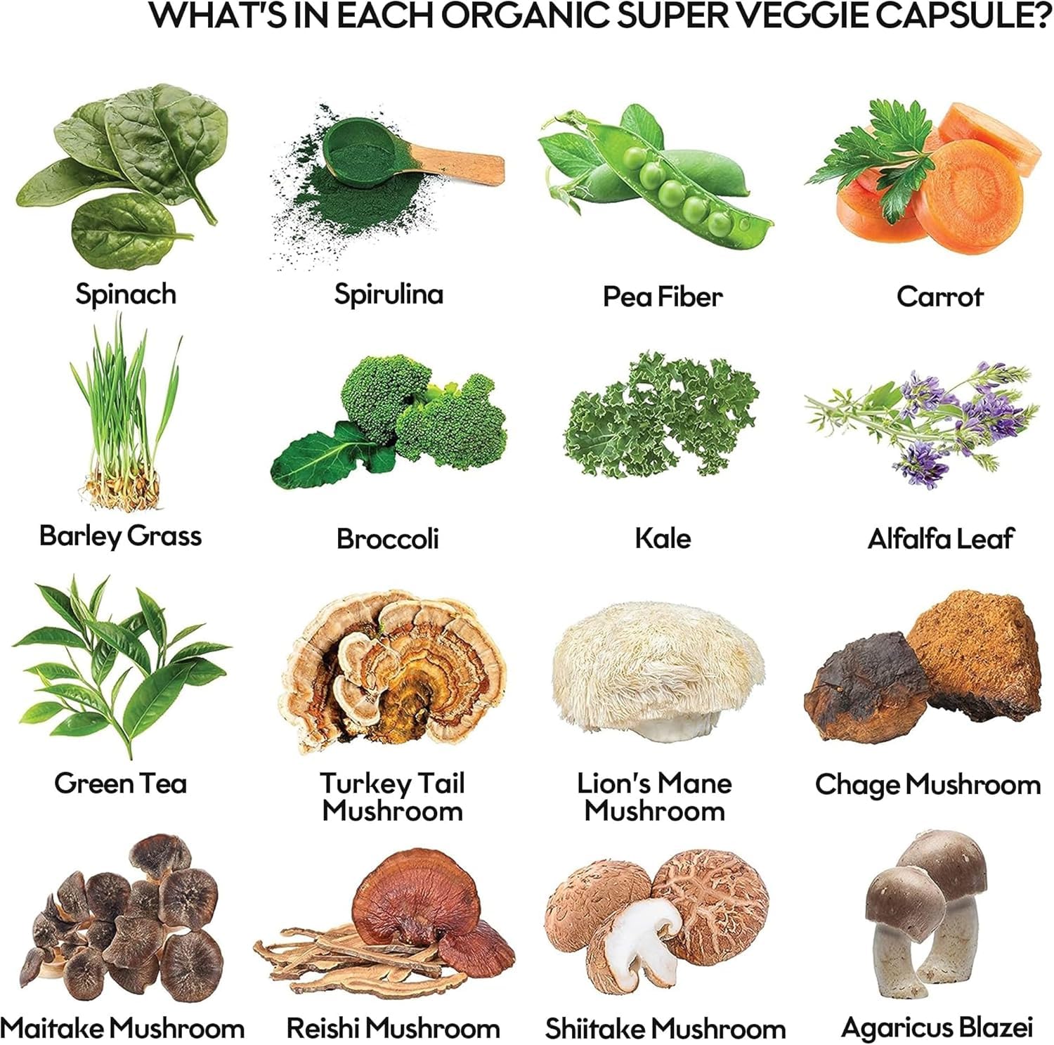 Fruits and Veggies Supplement Powerfull Blend of 39 Whole Fruits and Veggies, Fills Nutritional Gaps, Get Energy, Well-being. USA Made Non-GMO/Vegan/Gluten Free. Packaging May Vary (60 Day Supply) ROOTIE buy supplements canada