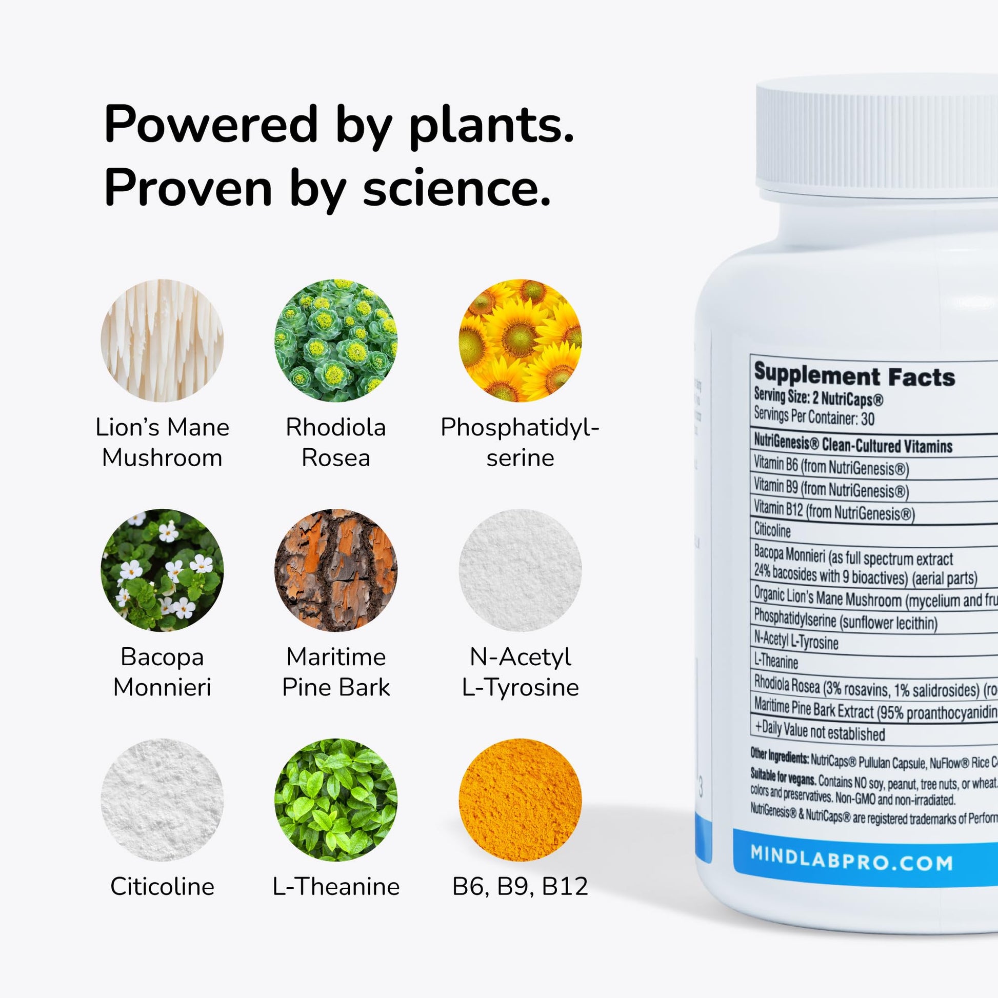 Mind Lab Pro® MLP® v4 Universal  Booster Supplement for Focus, Memory, Clarity, Energy - 60-Count - Plant-Based, Naturally Sourced Memory Vitamins Mind Lab Pro buy supplements canada