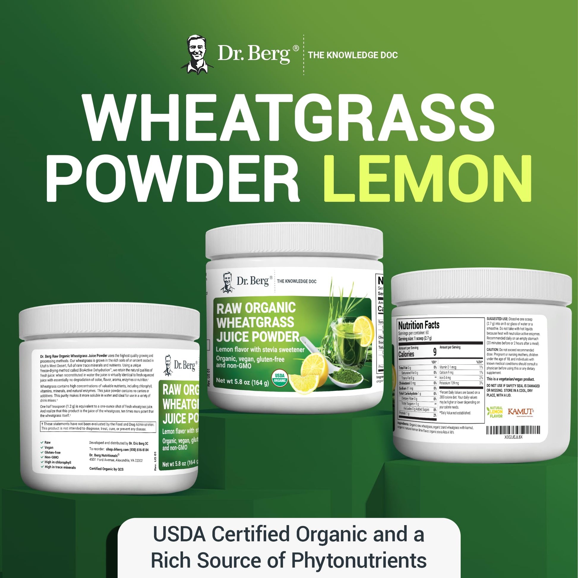 Dr. Berg's Raw Wheatgrass Juice Powder (60 Servings) - USDA Certified Organic Dr. Berg Nutritionals buy supplements canada