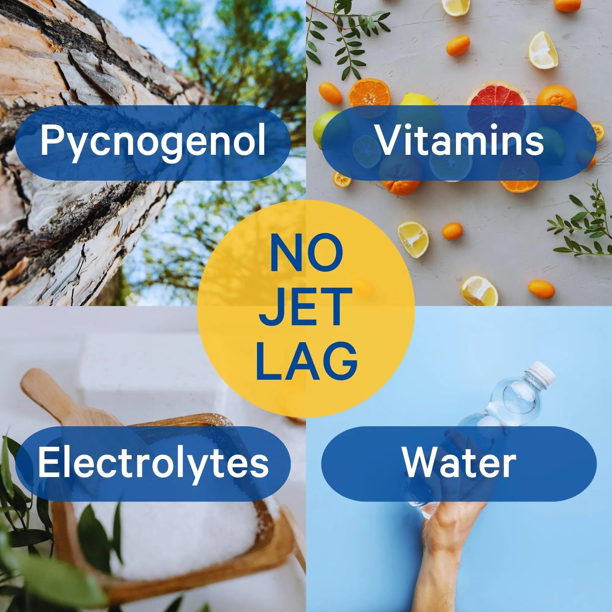 1Above Jet Lag Relief Tablets - Citrus-Flavored Effervescent Multivitamin with Pycnogenol Travel Supplement for Hydration, Energy 1ABOVE buy supplements canada