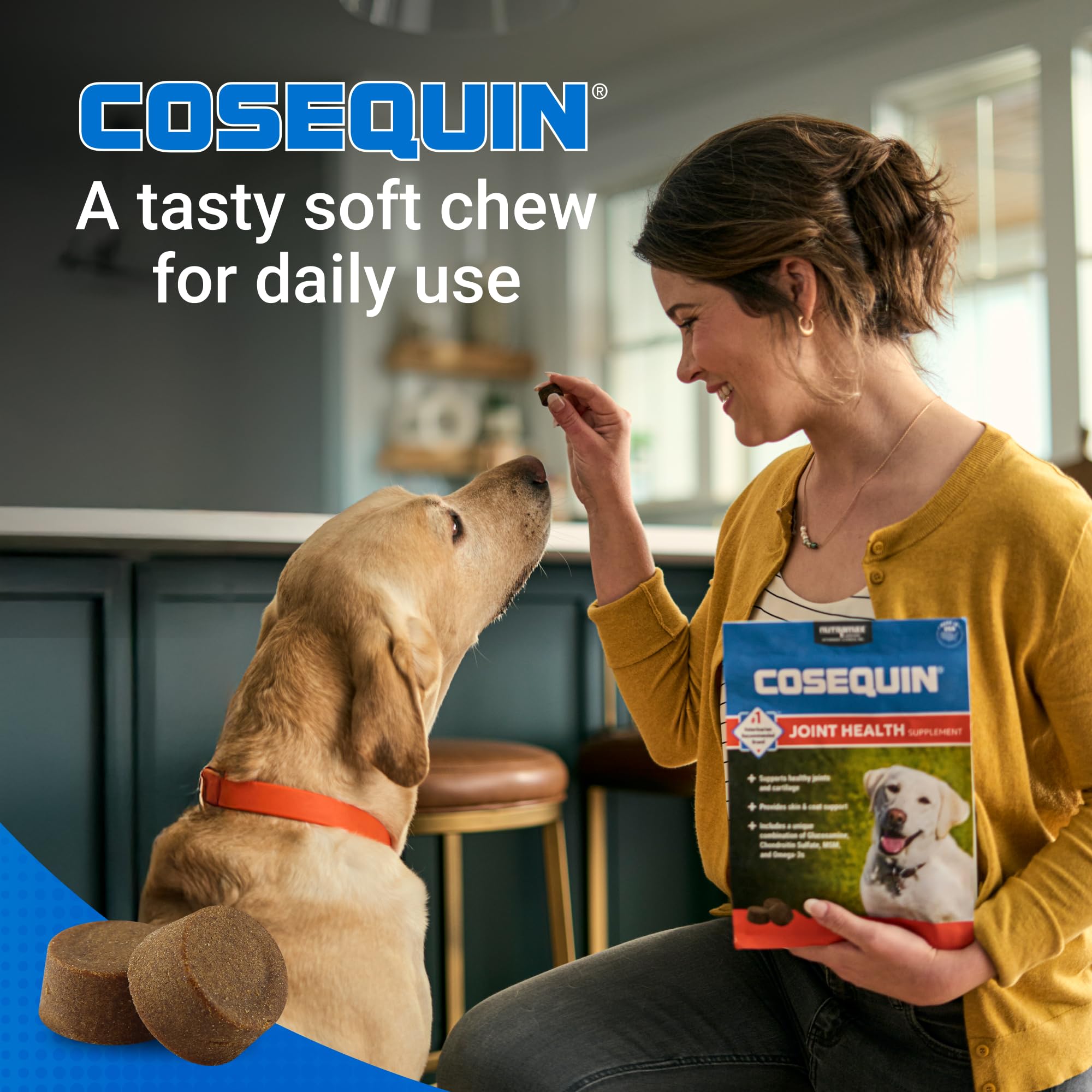 Nutramax Cosequin for Dogs Joint Health Supplement, Contains Glucosamine, Plus Chondroitin, MSM and Omega-3s, Supports Joint and Skin and Coat Health, Soft Chews, 120 Count Nutramax Laboratories buy supplements canada