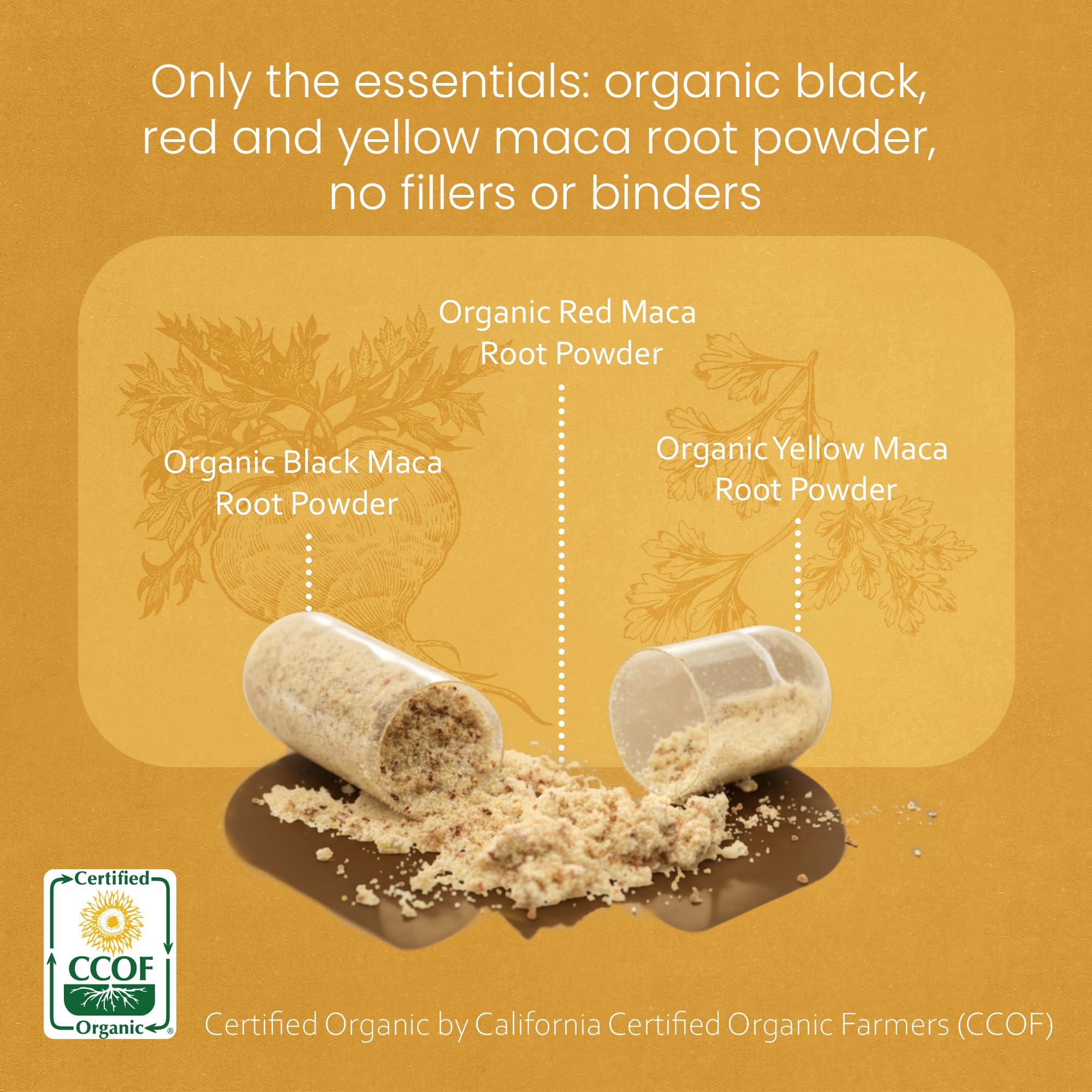 NaturaLife Labs Organic Maca Root – Black, Red & Yellow – 1900 mg per Serving – 150 Capsules – Gelatinized Peruvian Maca NaturaLife Labs buy supplements canada