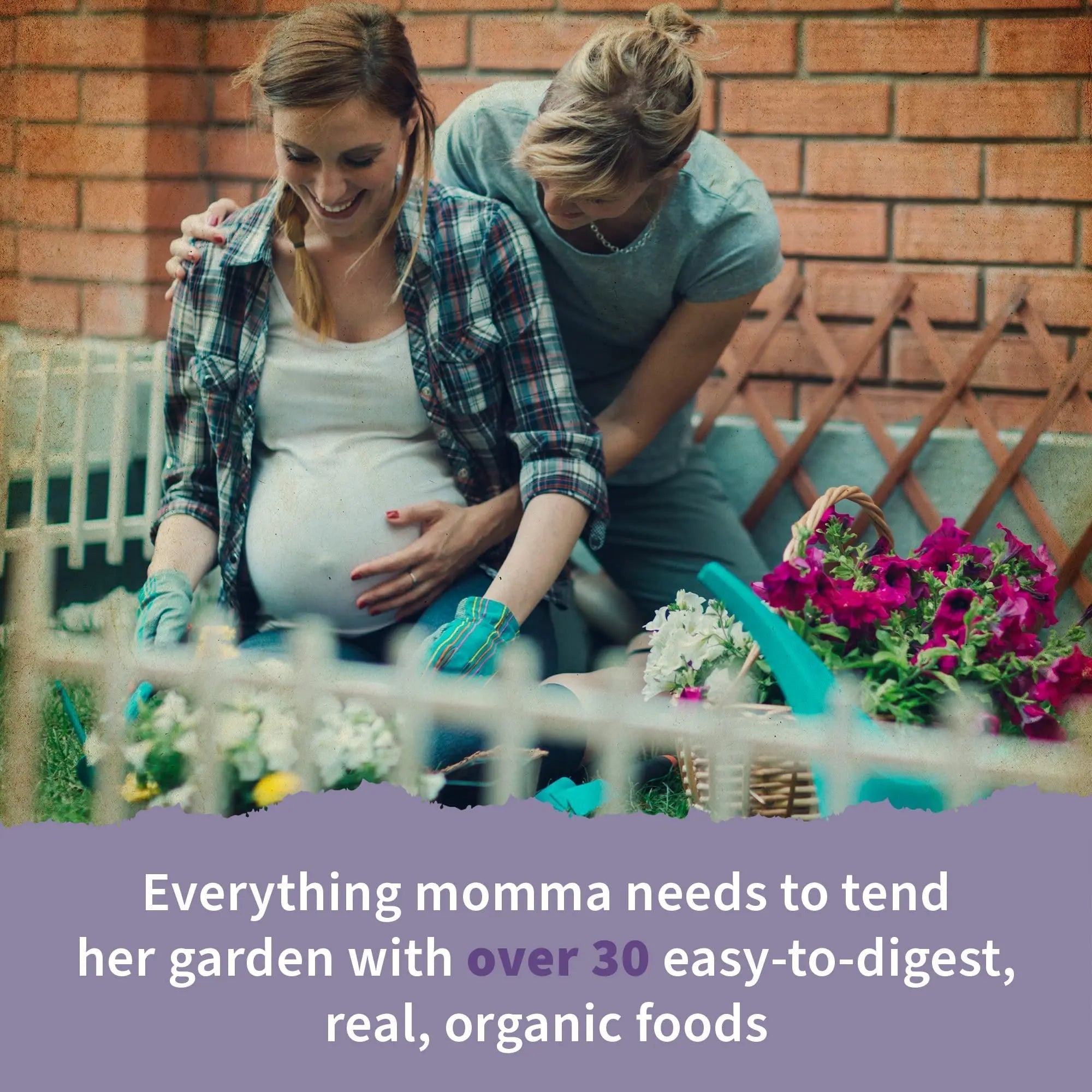 Garden of Life Organics Women’s Prenatal Multivitamin with Vitamin D3, B6, B12, C & Iron, Folate for Energy & Healthy Fetal Development – Organic Garden of Life buy supplements canada