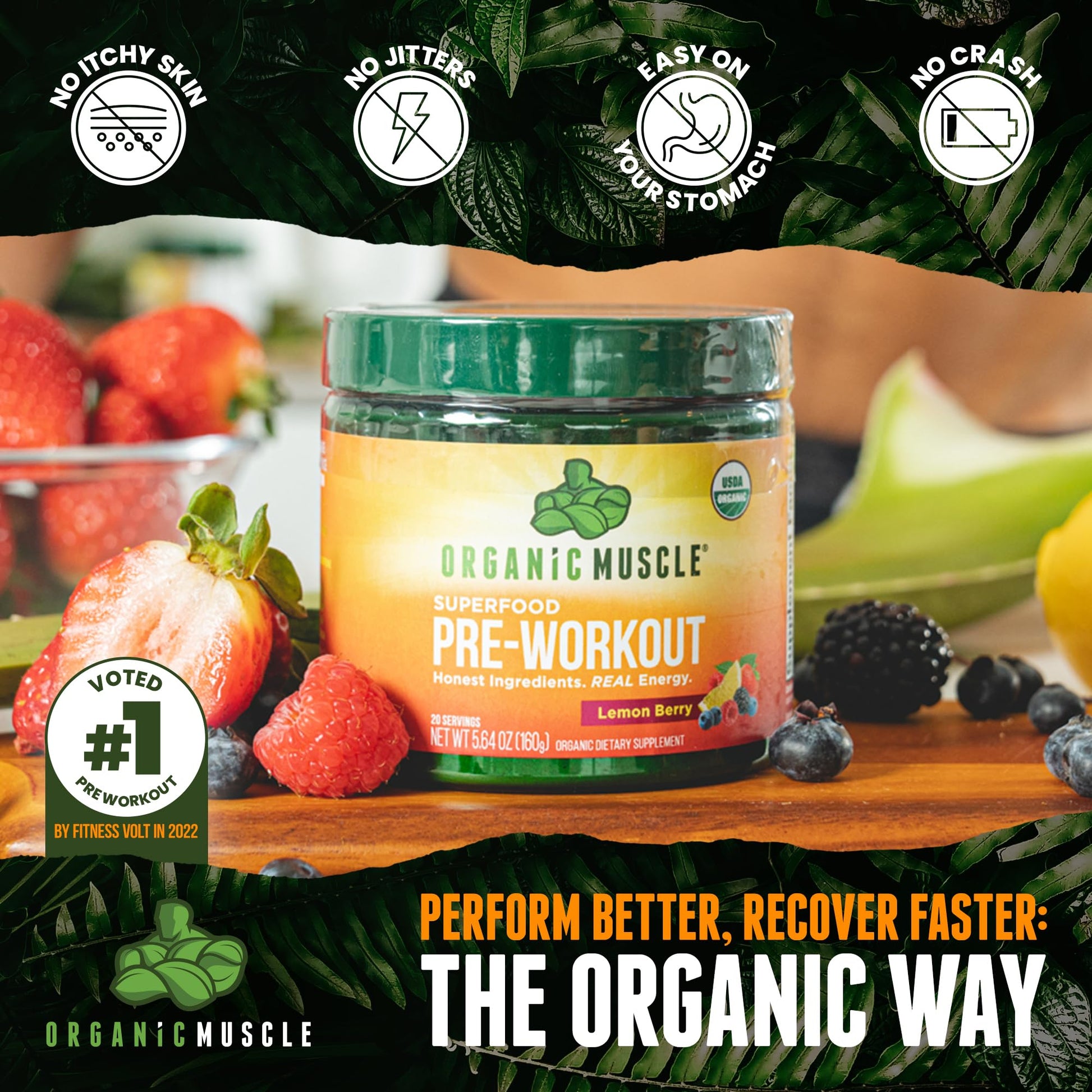 Organic Muscle Superfood Pre Workout Powder for Men & Women, Lemon Berry Organic Muscle buy supplements canada