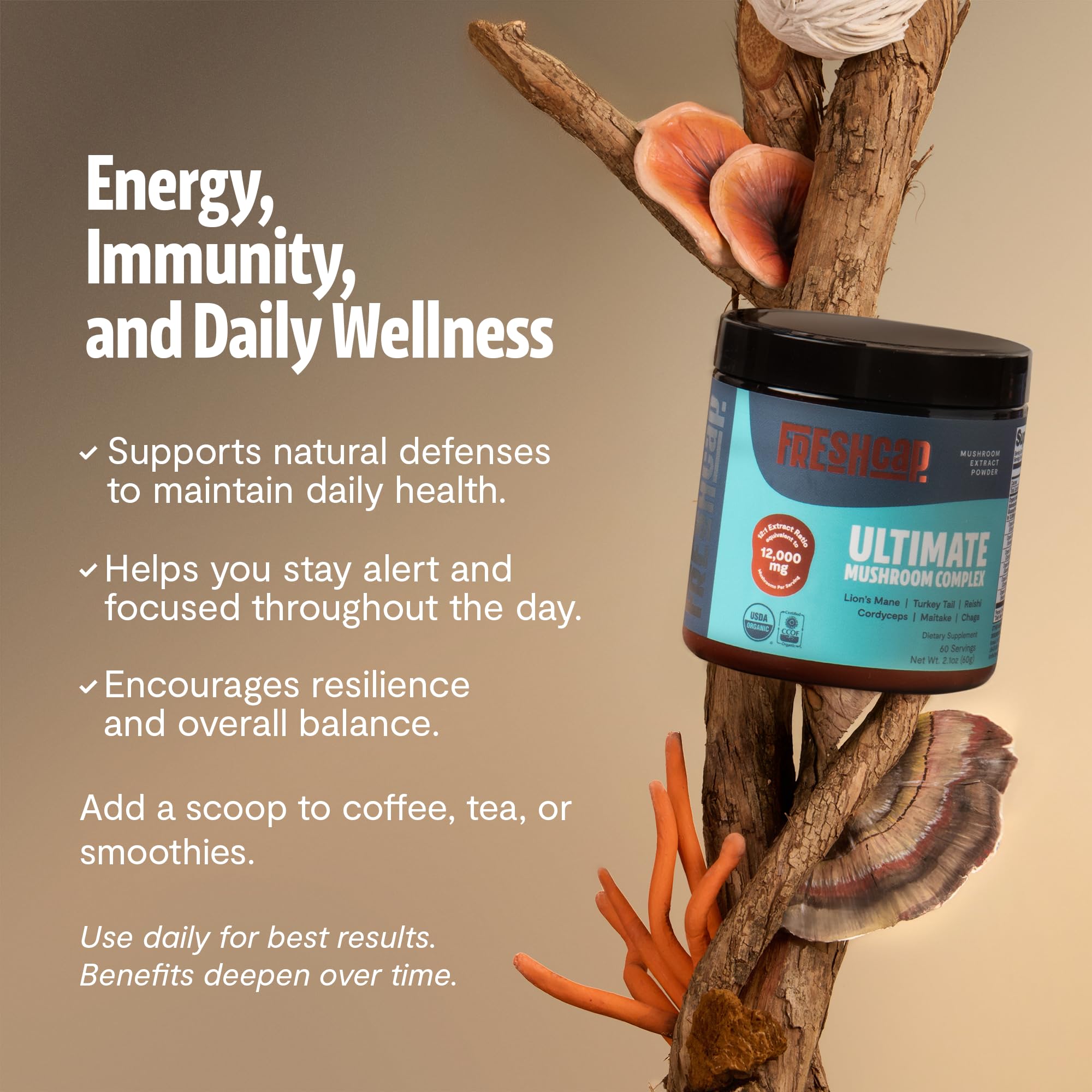 FreshCap Mushrooms Ultimate Mushroom Supplement Powder 12,000mg - Nootropic Organic Mushroom Complex for Focus & Memory, Brain Support Supplement, Ayurveda Mushroom Powder Extract (60 Servings) FreshCap Mushrooms buy supplements canada