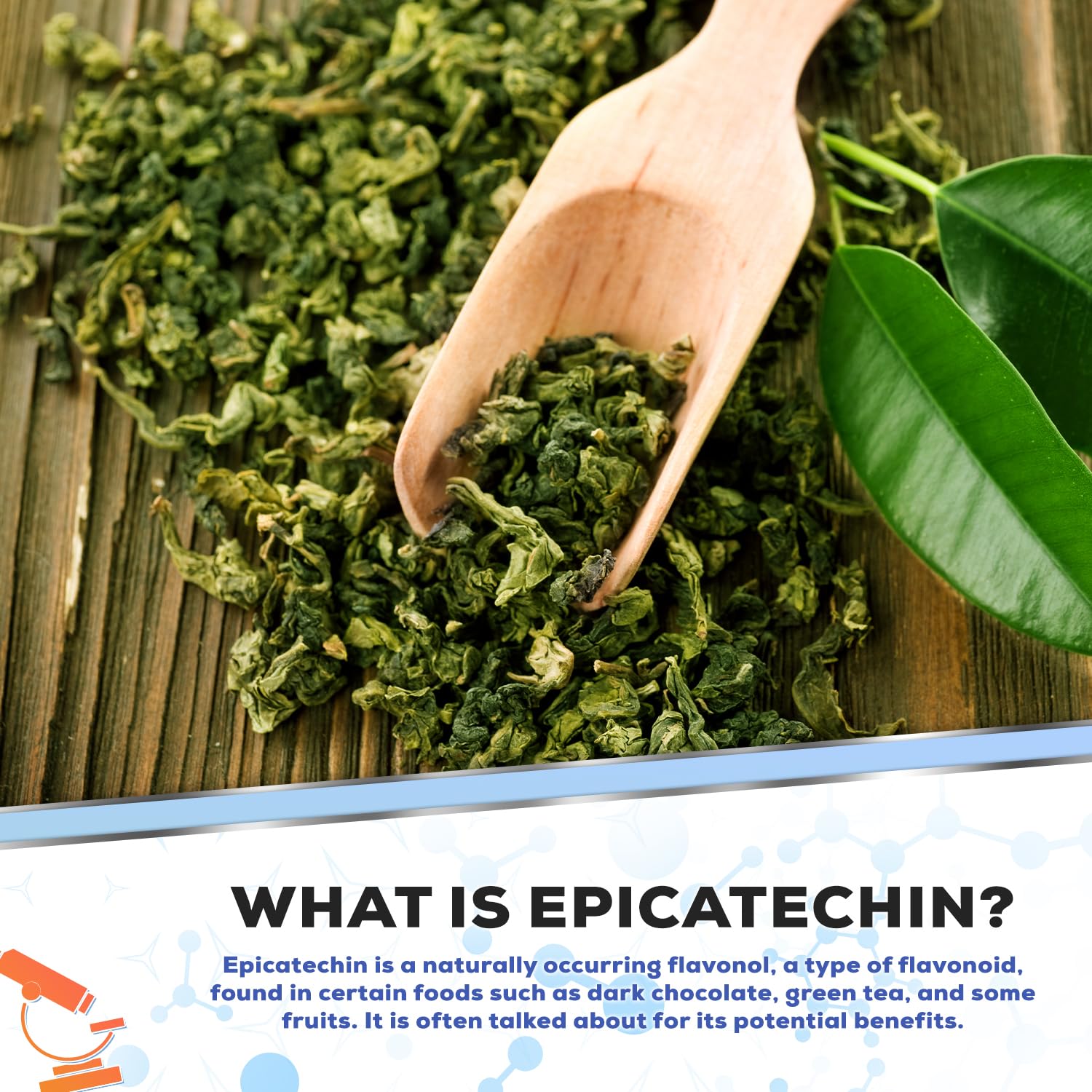 Muscle Empire Epicatechin Extract Capsules | EPI 250mg | 180 Pill Count | Supports Lean Muscle Empire buy supplements canada