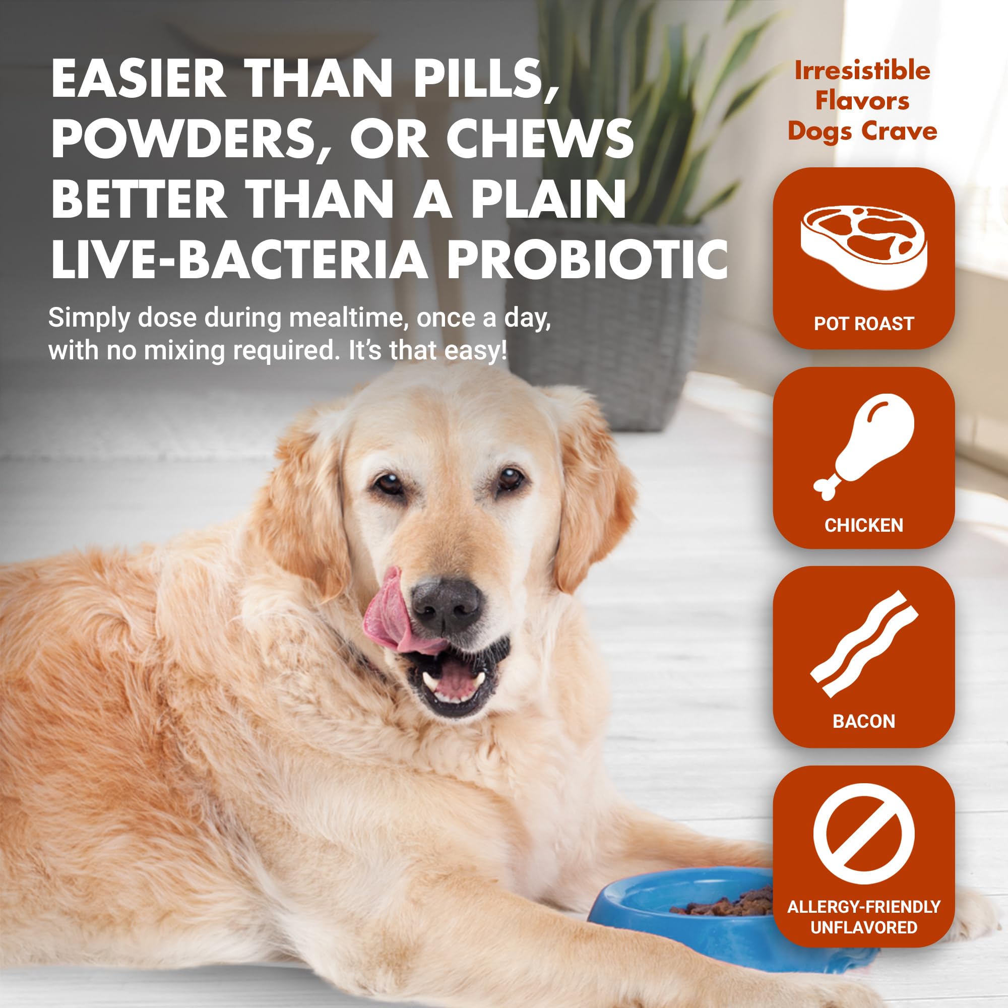 Pre & PostBiotic Support for Dogs – Digestive Upset, Stool Quality & Sensitive Stomach Support – Easy Liquid Formula for Picky Eaters LIQUID-VET buy supplements canada