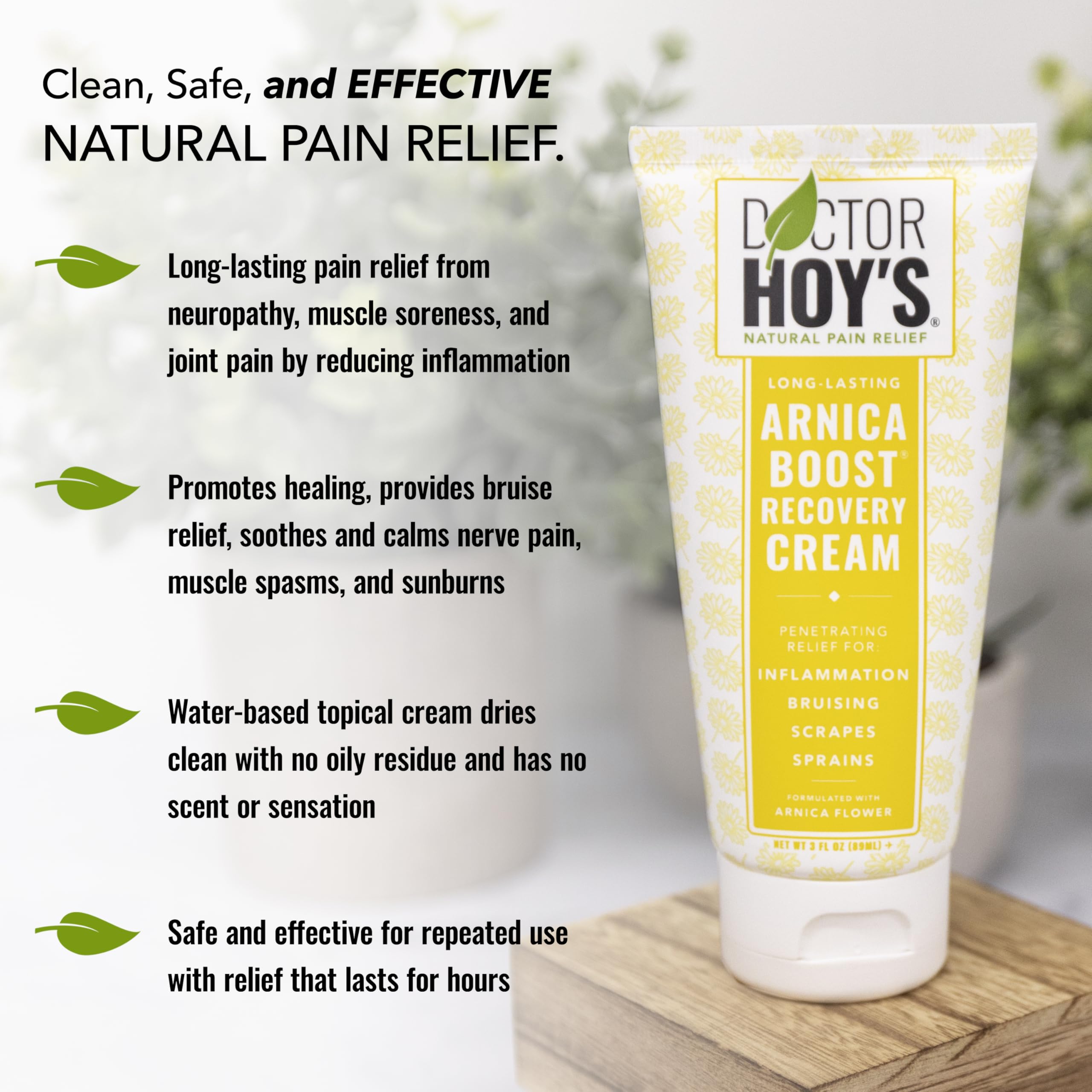 DOCTOR HOY'S Natural Arnica Boost Recovery Cream, Bruise and Muscle Pain Relief Cream, Topical Homeopathic Formula with Arnica Montana for Rapid Bruise Relief (6 Fl Oz) DOCTOR HOY'S buy supplements canada
