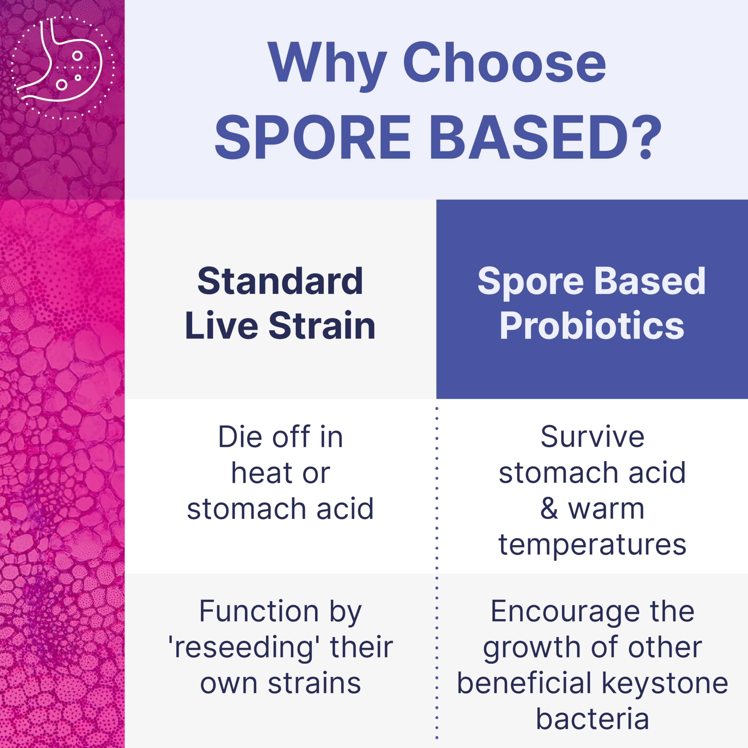 Microbiome Labs MegaSporeBiotic Probiotics for Women & Men - Spore-Based Probiotic for Gut Health & Digestive Support - Shelf-Stable, Travel-Friendly, Mens & Womens Probiotics (60 Capsules) Microbiome Labs buy supplements canada