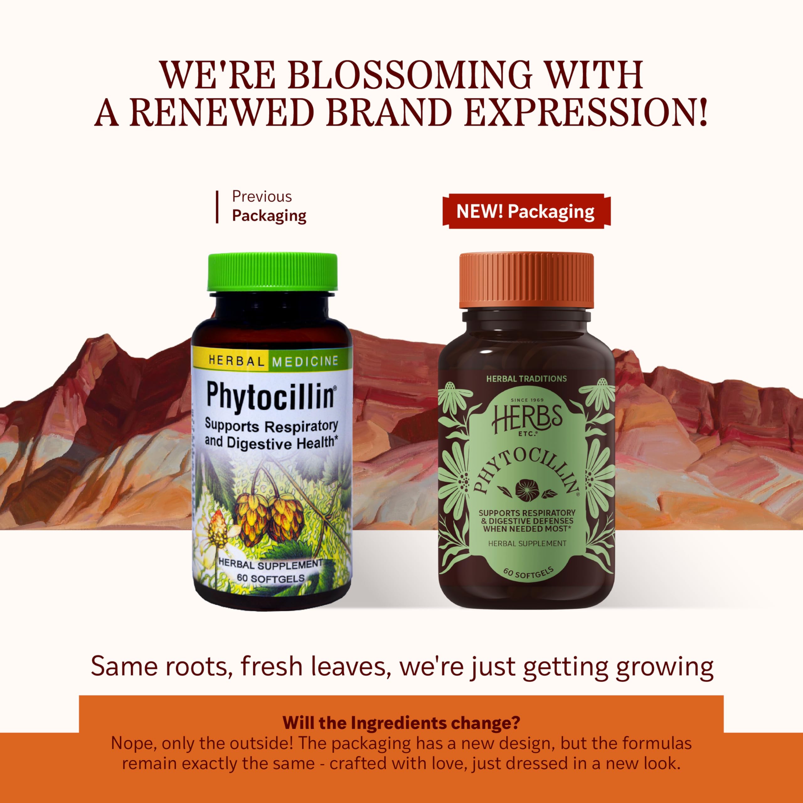 Herbs Etc. Phytocillin - Respiratory & Digestive Health Support Supplement - Herbal Formula to Support Digestion - Support Healthy Breathing - 60 Softgels (60 Servings) Herbs Etc. buy supplements canada