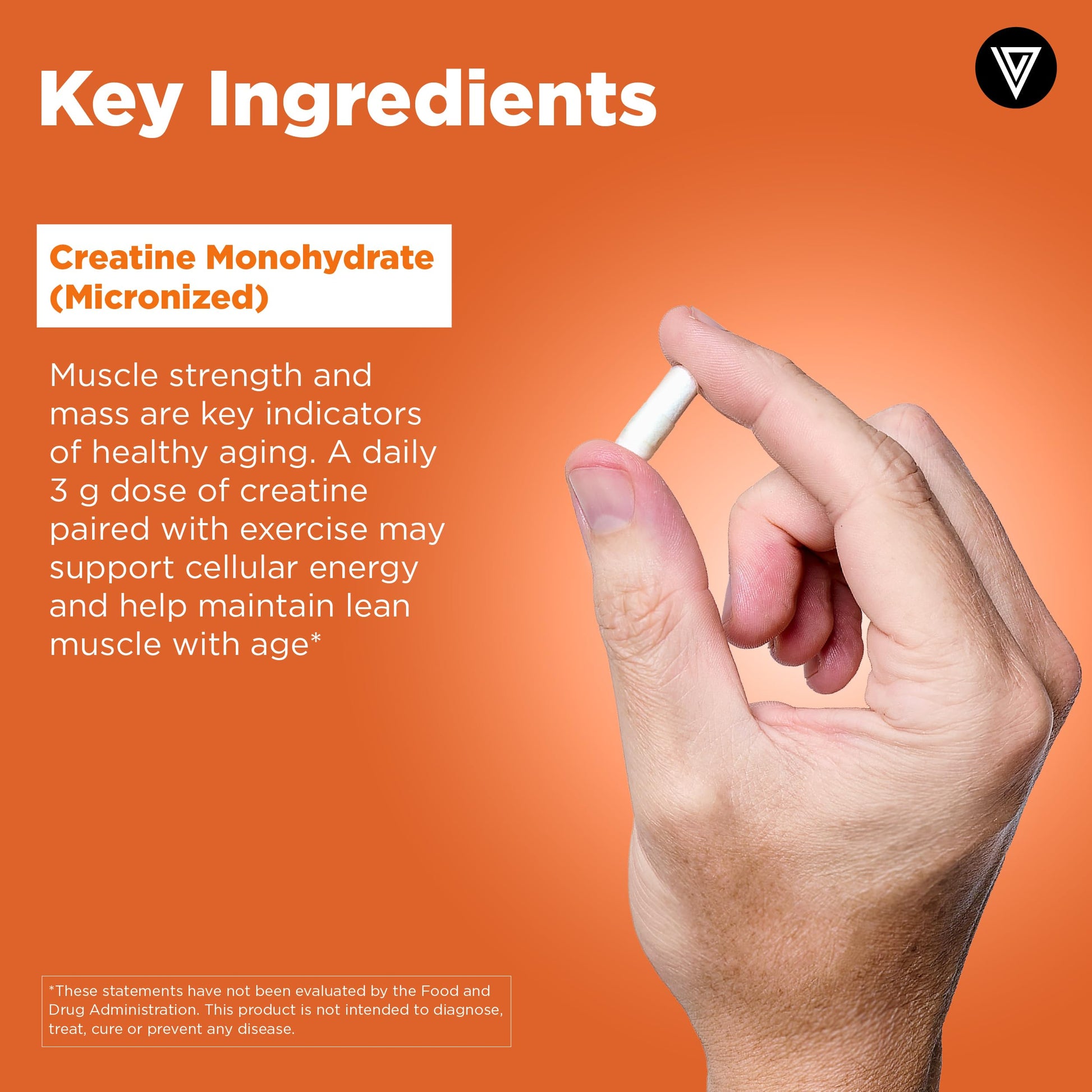 Vital Vitamins Creatine Monohydrate Pills for Women & Men - Micronized Creatine Capsules - Cognitive, Strength, Recovery Support - 3g (3000mg) per Serving - Vegan, Non-GMO, 120 Count Vital Vitamins buy supplements canada