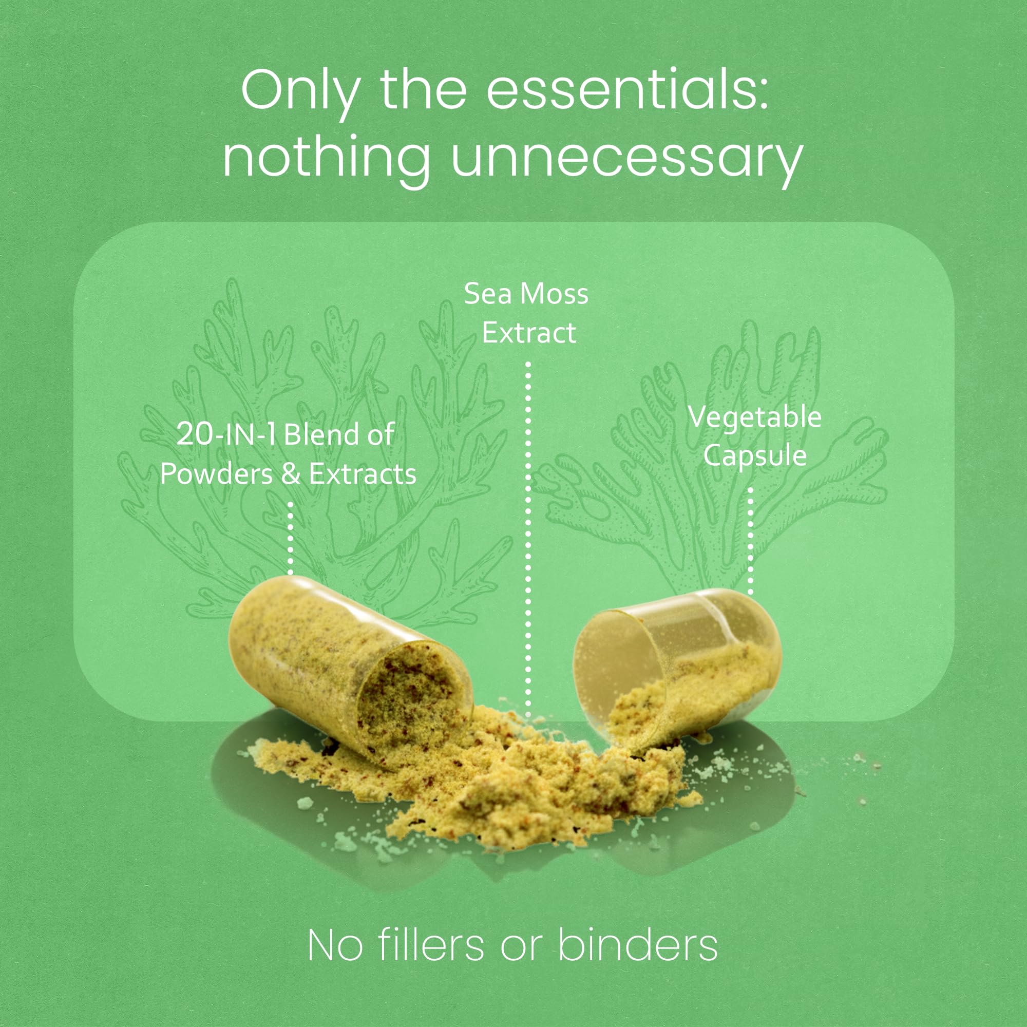 Sea Moss, Black Seed Oil, Bladderwrack, Turmeric, Ashwagandha, Burdock, Vitamin C, D3, Yellow Dock Root, Manuka, Dandelion - 90 Veggie caps NaturaLife Labs buy supplements canada