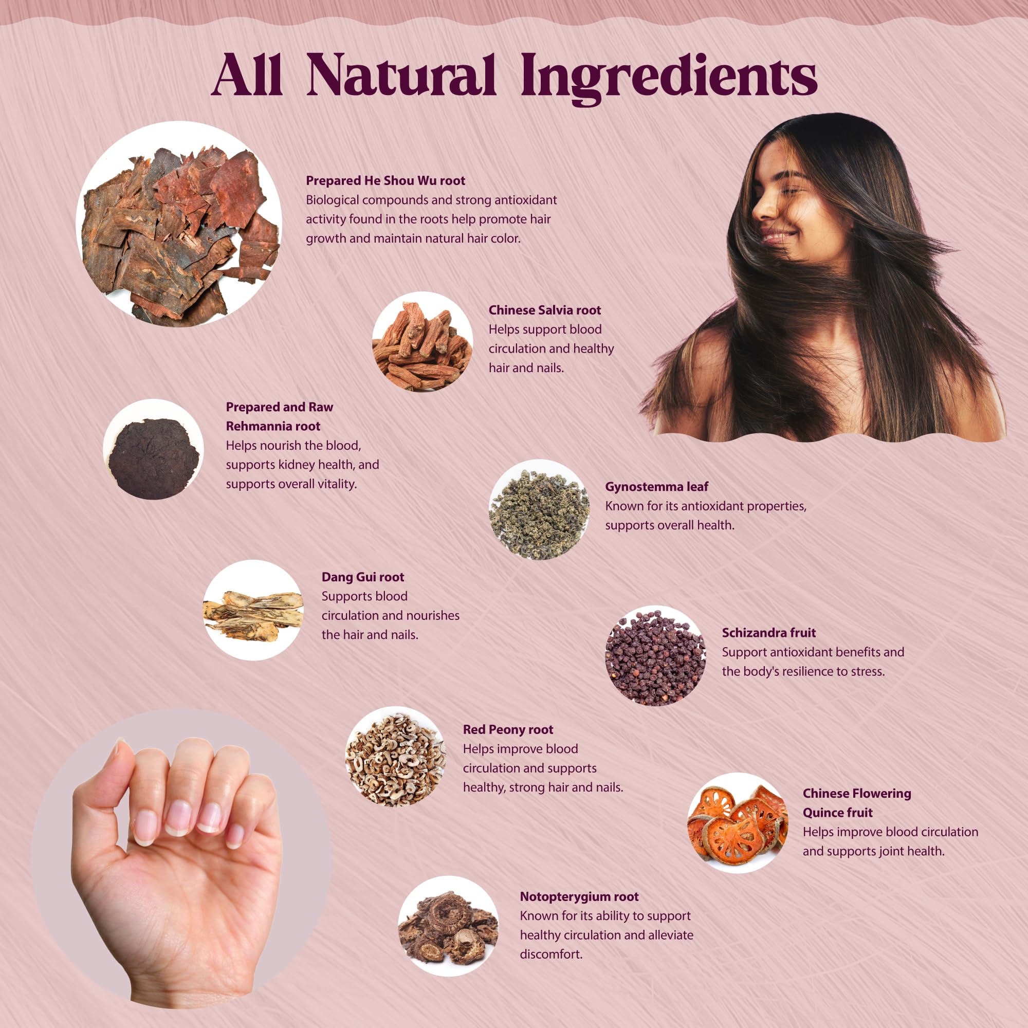 Dragon Herbs Hair and Nails | All Natural Supplement to Support Hair, Nails, Healthy Aging, and Circulation | All Natural Ingredients, Non-GMO (100 Capsules, 500 mg Per Capsule) Dragon Herbs buy supplements canada