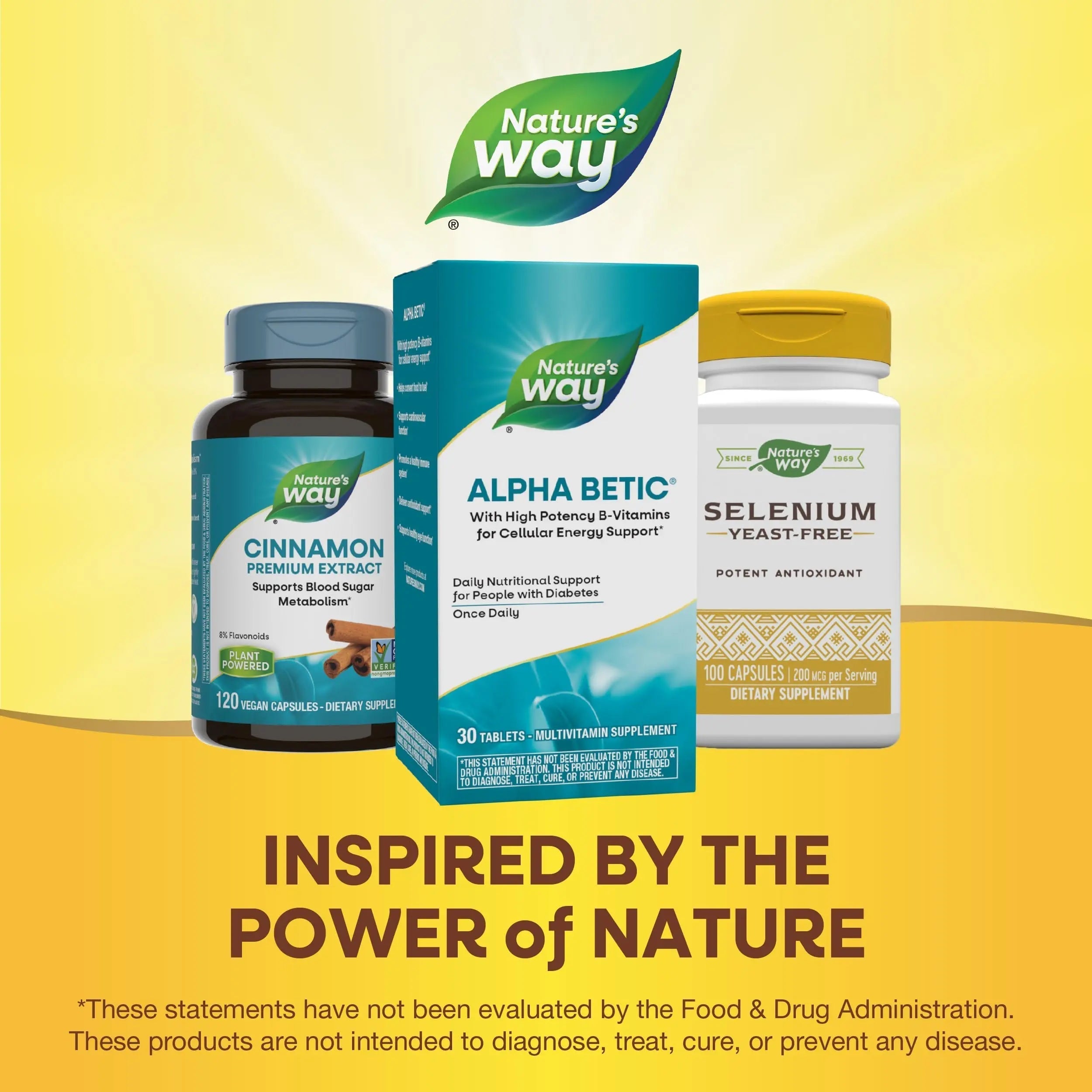 Nature's Way alpha betic, Diabetic Multivitamin for Daily Nutritional Support, with B-Vitamins for Energy Metabolism Support Nature's Way buy supplements canada