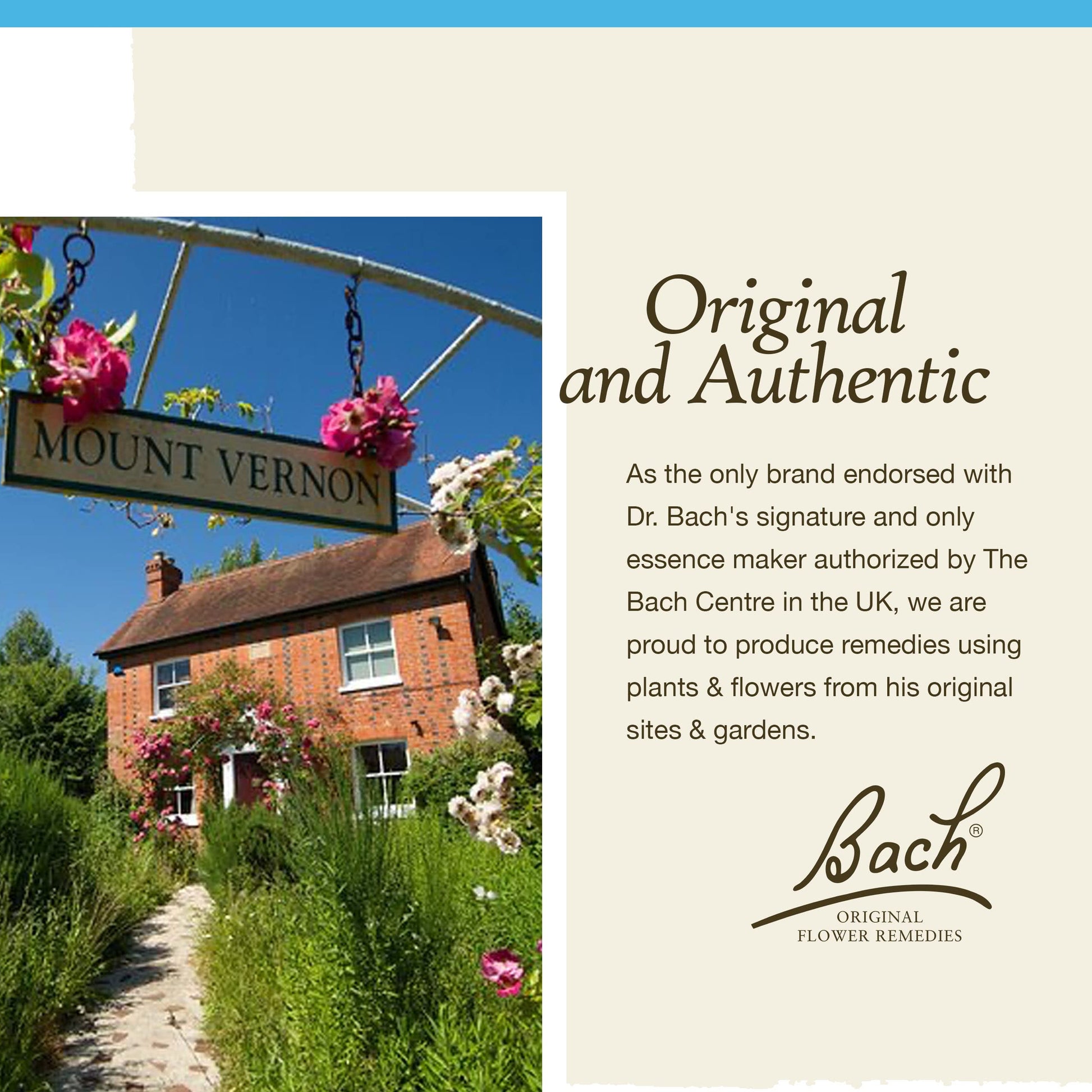 Bach Original Flower Remedies, Rock Water for Flexibility, Natural Homeopathic Flower Essence Bach buy supplements canada