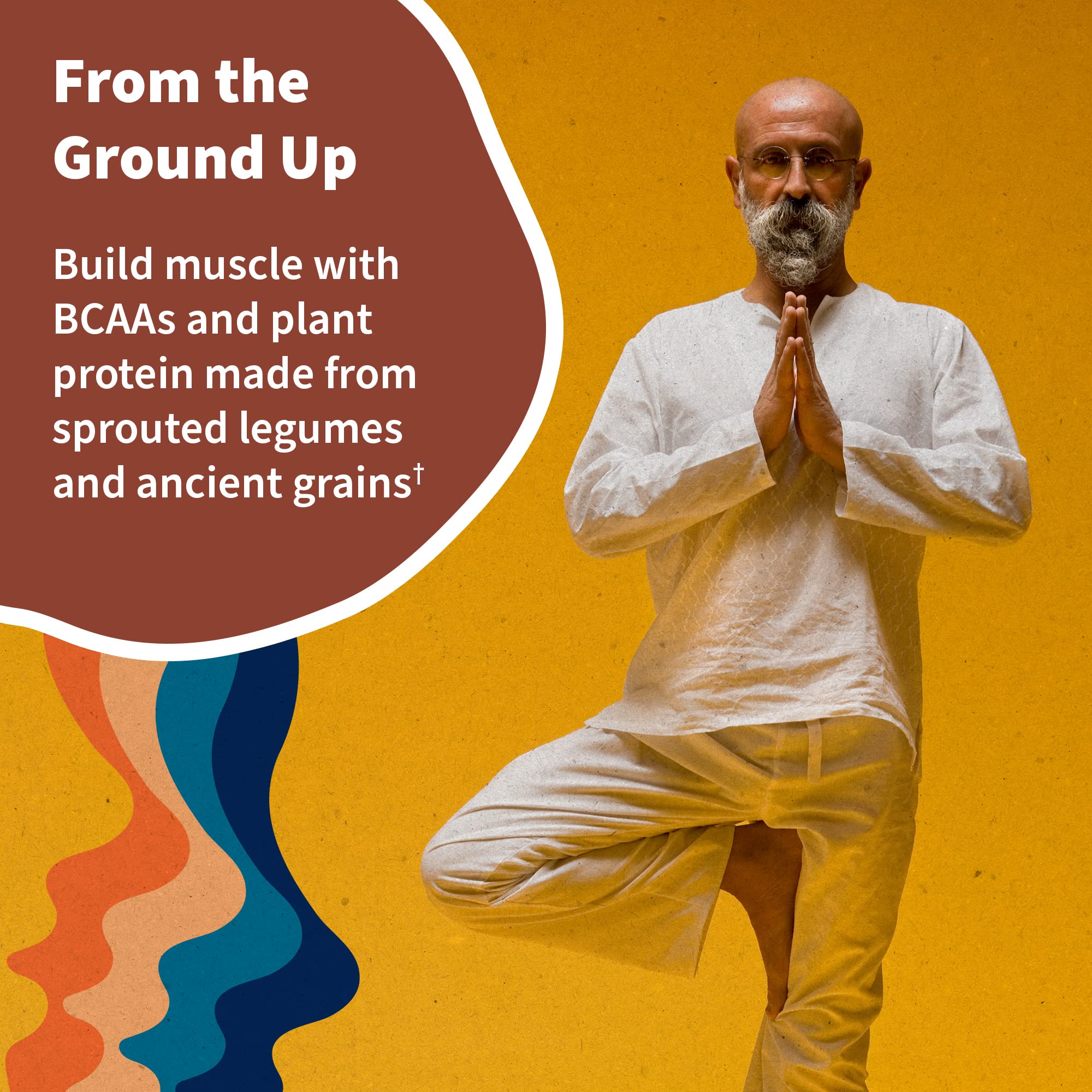 Garden of Life, Organic Vegan Vanilla Chai Protein Powder -22g Complete Plant Based Raw Garden of Life buy supplements canada