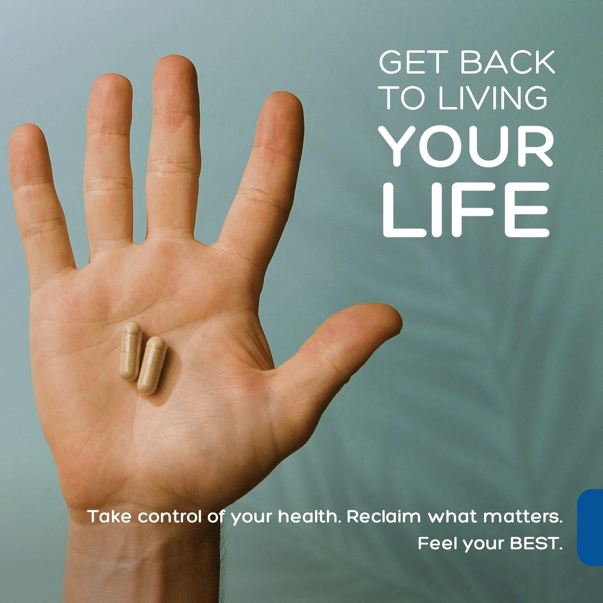 Natural Cure Labs Premium Immune Support Natural Cure Labs buy supplements canada
