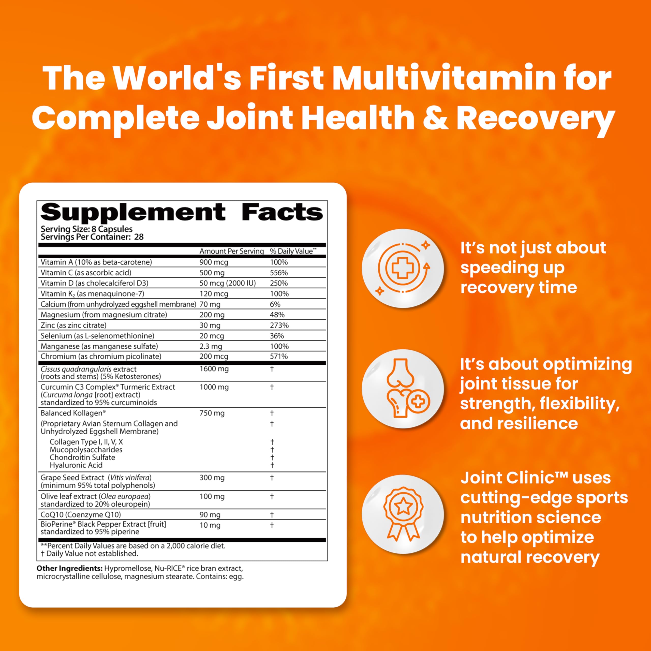 SaltWrap Joint Clinic - Multivitamin for Joint Health and Recovery - with Type II Collagen, C3 Turmeric, Cissus, and Hyaluronic Acid - 224 Capsules SaltWrap buy supplements canada