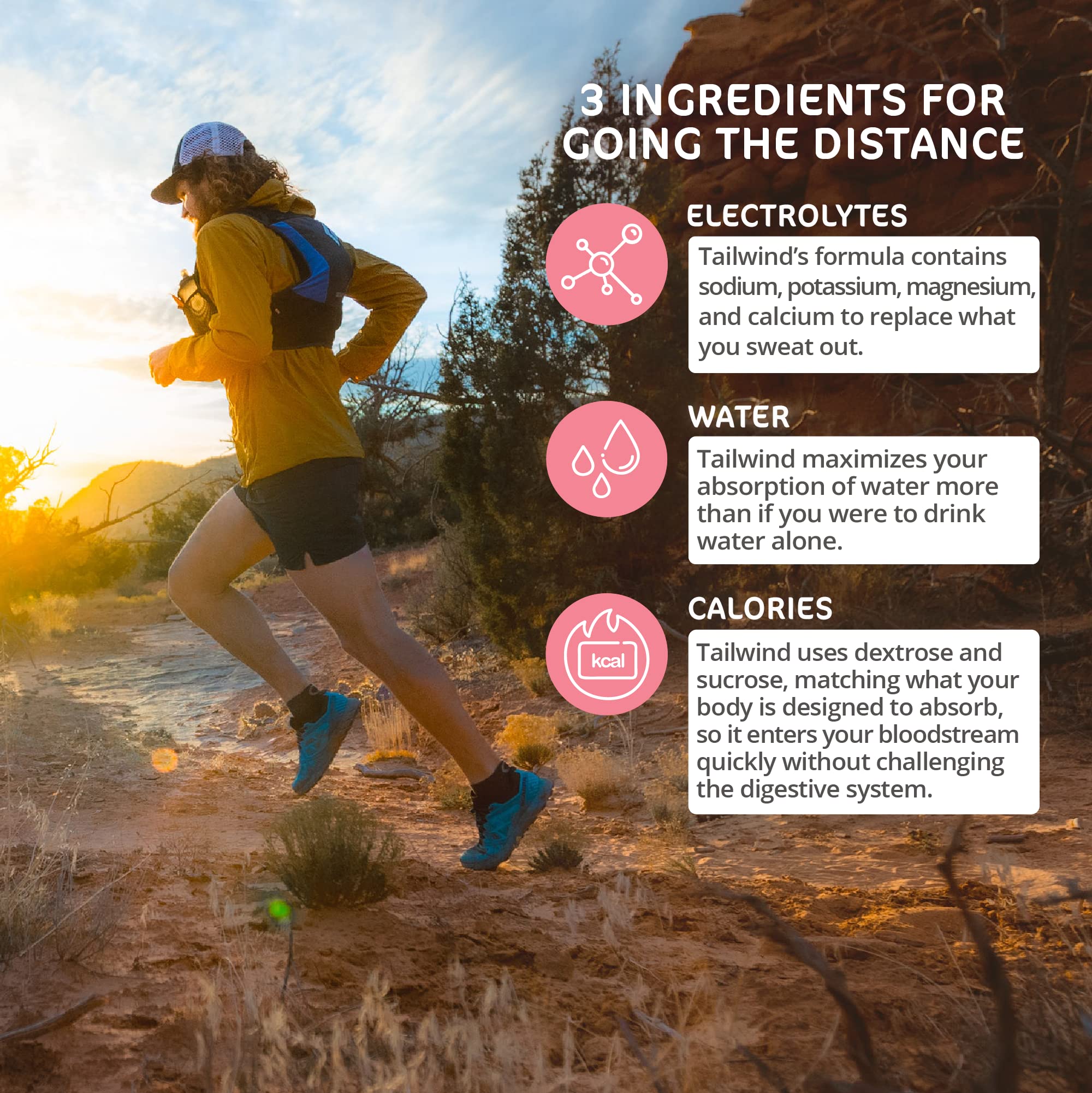 Tailwind Nutrition Endurance Fuel, Caffeine Drink Mix with Electrolytes Tailwind buy supplements canada