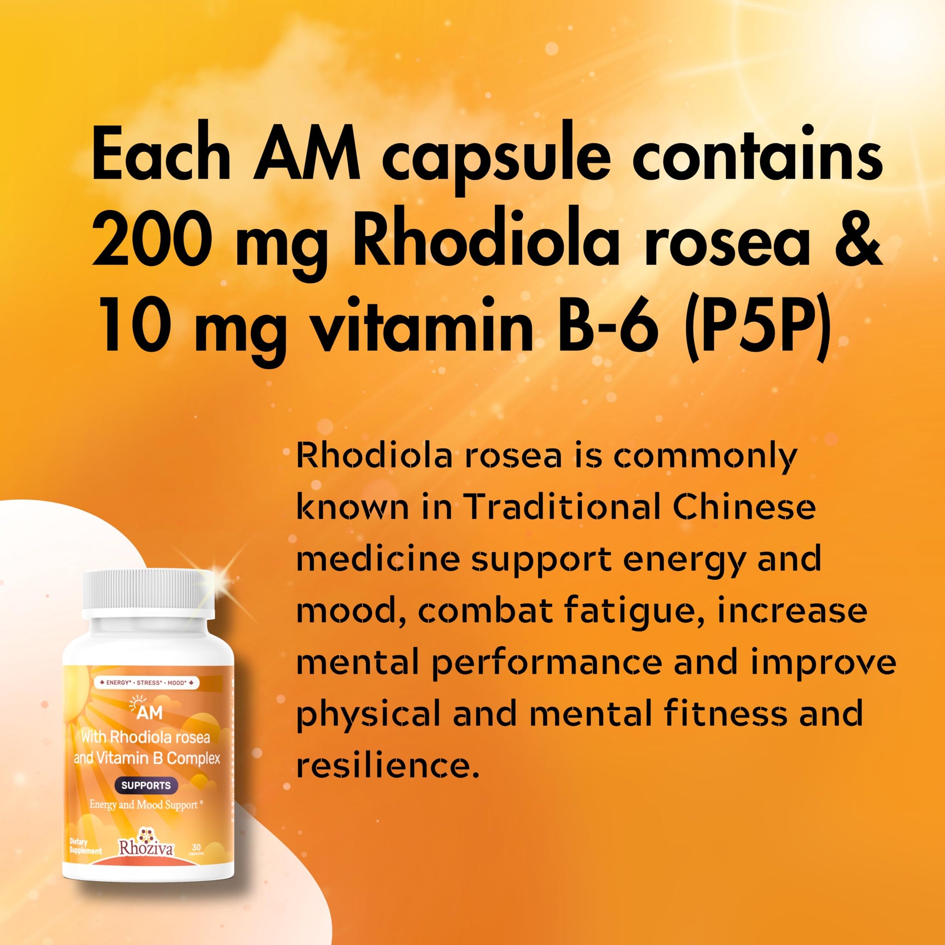 AM PM Multivitamin - Cortisol Supplements for Women and Men with L-Theanine, Ashwagandha - Rhodiola Rosea Supplement 200mg - Vitamin B Complex - Nootropics - Day and Night Vitamins for Women & Men Rhoziva buy supplements canada