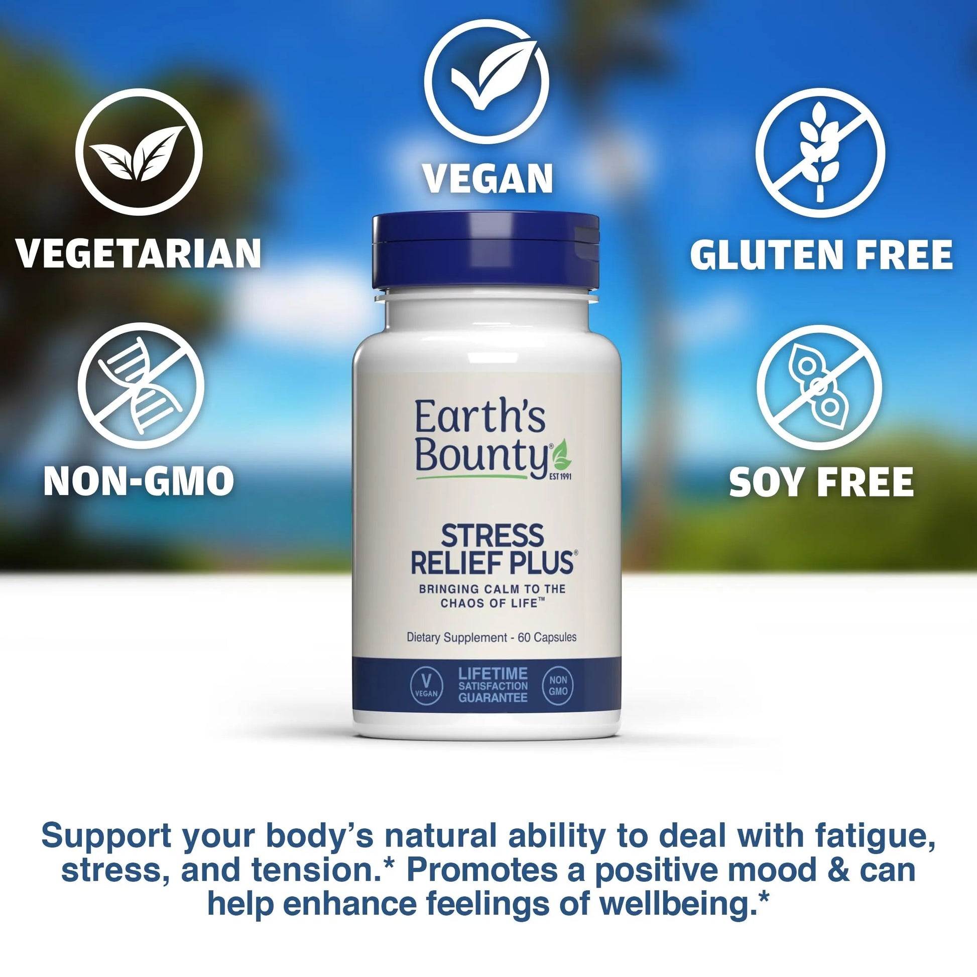 Earth's Bounty - Stress Relief Plus - 60 Vegetarian Capsules - All Natural Formula - Stress Support & Mood Enhancing Supplement Earth's Bounty buy supplements canada