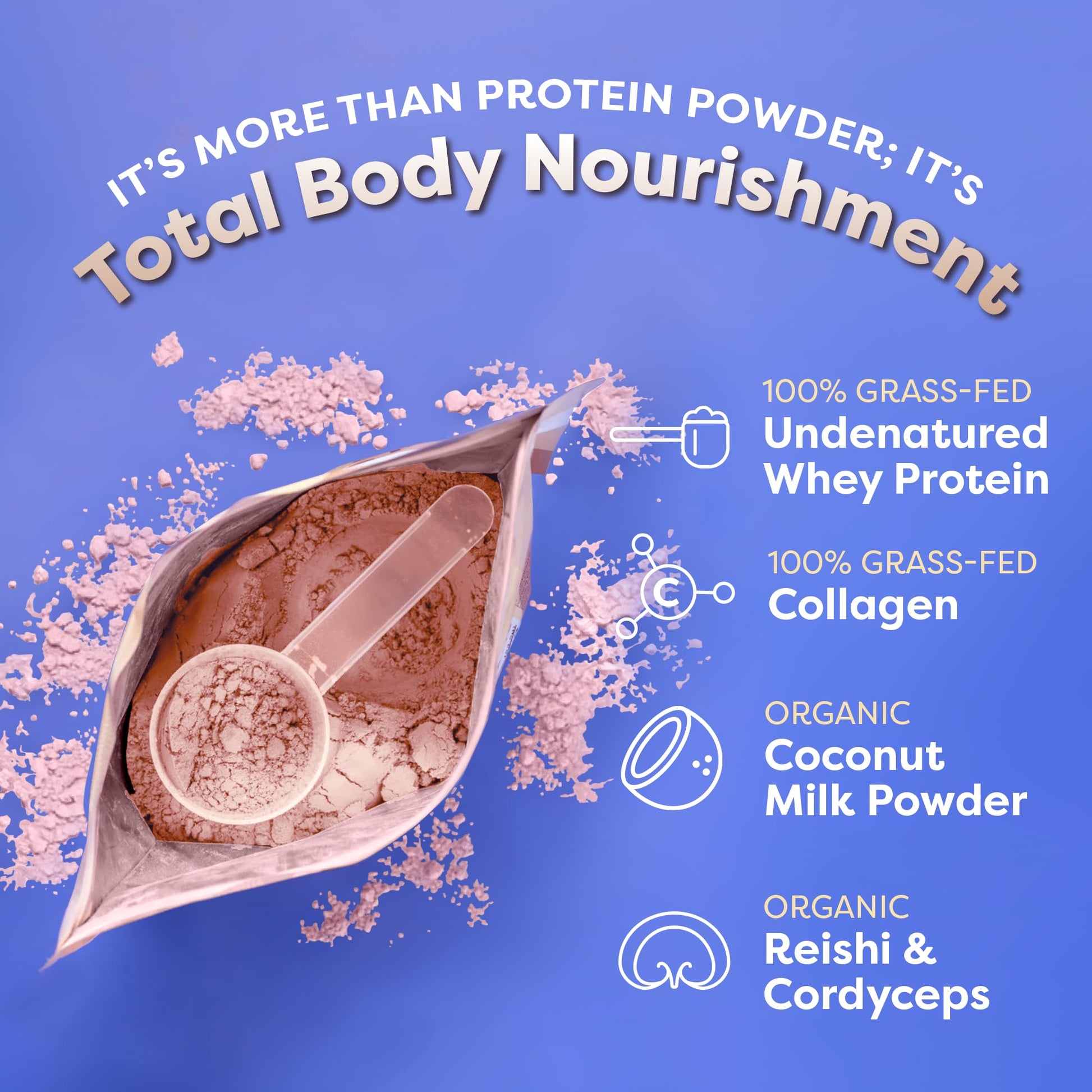 FlavCity Protein Powder Smoothie, Berries & Cream - 100% Grass-Fed Whey Protein FlavCity buy supplements canada