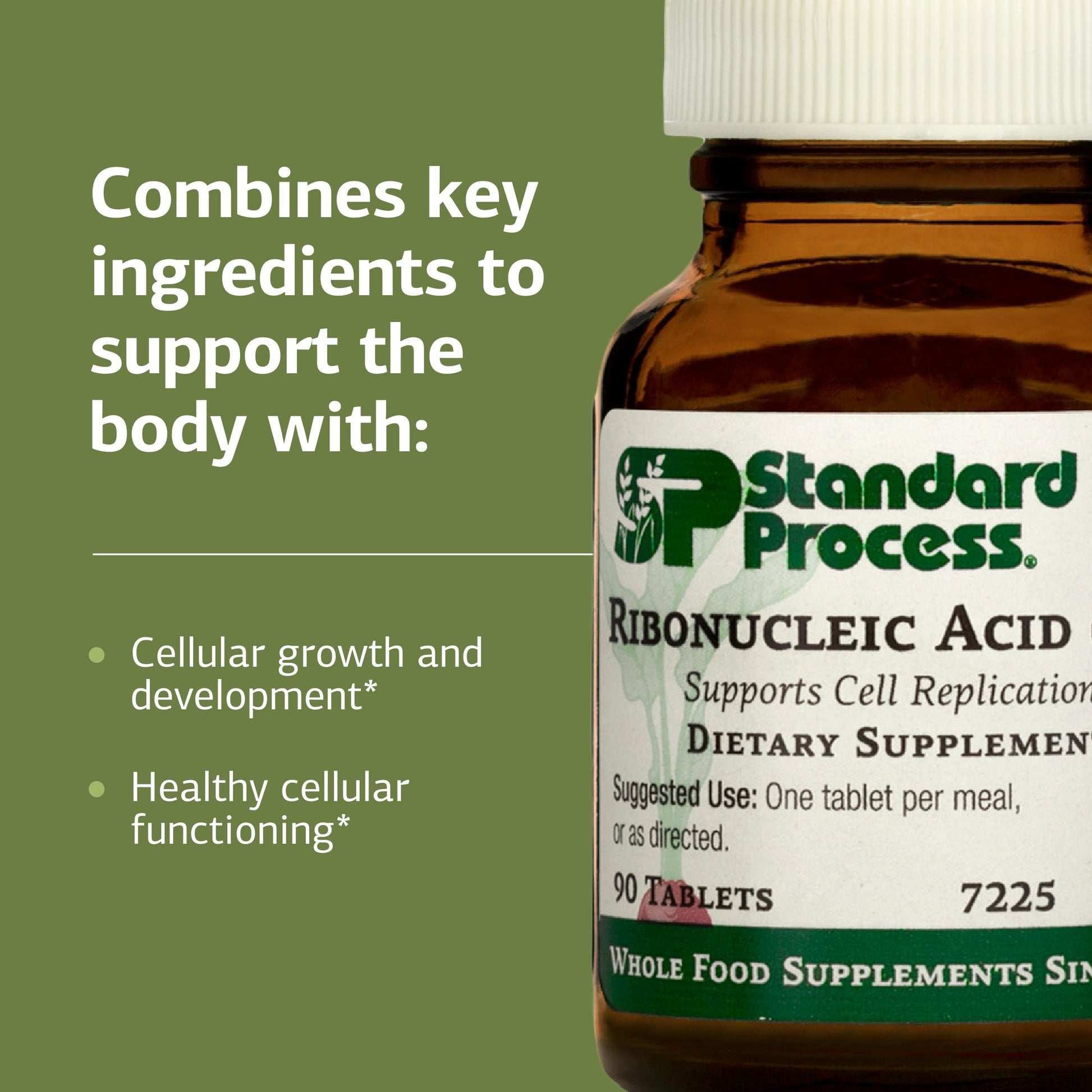 Standard Process Ribonucleic Acid RNA - Cell Development Support - Aids Protein Synthesis - Vegan, Gluten-Free, Non-Soy, & Non-Grain - 90 Tablets (90 Servings) Standard Process Inc. buy supplements canada