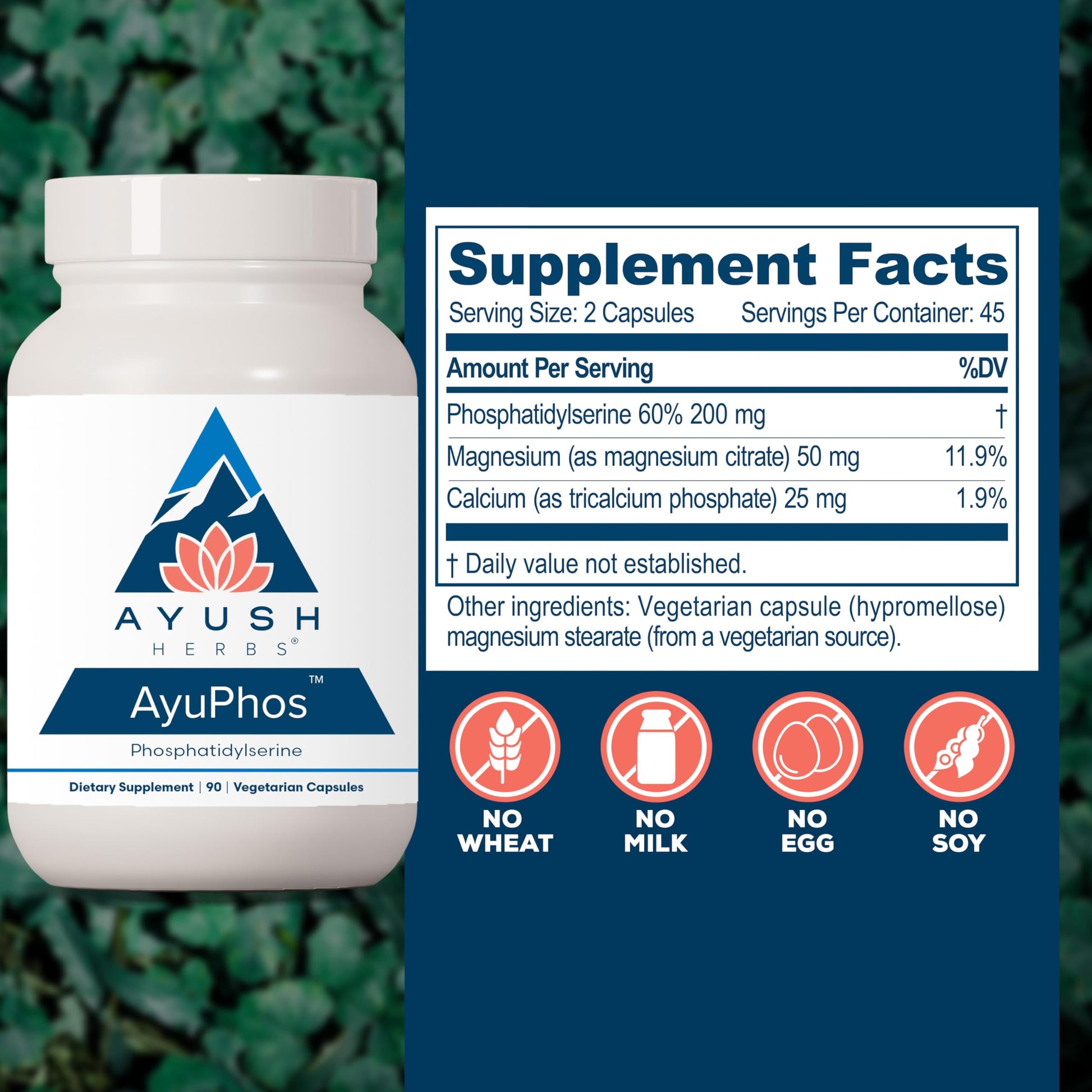 Ayush Herbs AyuPhos - Phosphatidylserine Supplement for Men & Women, Soy-Free Phosphatidyl Serine, Brain, Memory, & Cognitive Support for Adults, 200mg Per Pill - 45 Servings Ayush Herbs buy supplements canada