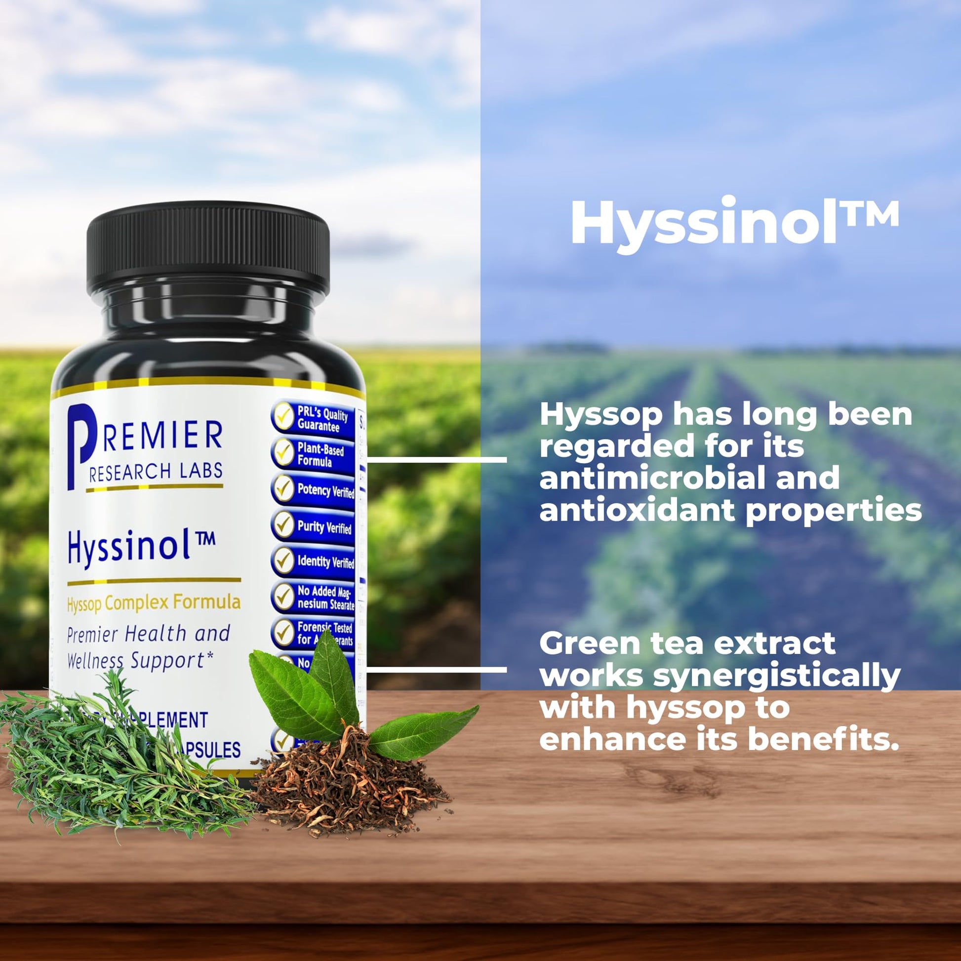 Premier Research Labs Hyssinol - Hyssop Herb, Hyssop Capsules, Wellness Pills with Organic Hyssop Dry Herb, Dietary Supplement with Green Tea, Antioxidant Support - 60 Vegetarian Capsules Premier Research Labs buy supplements canada