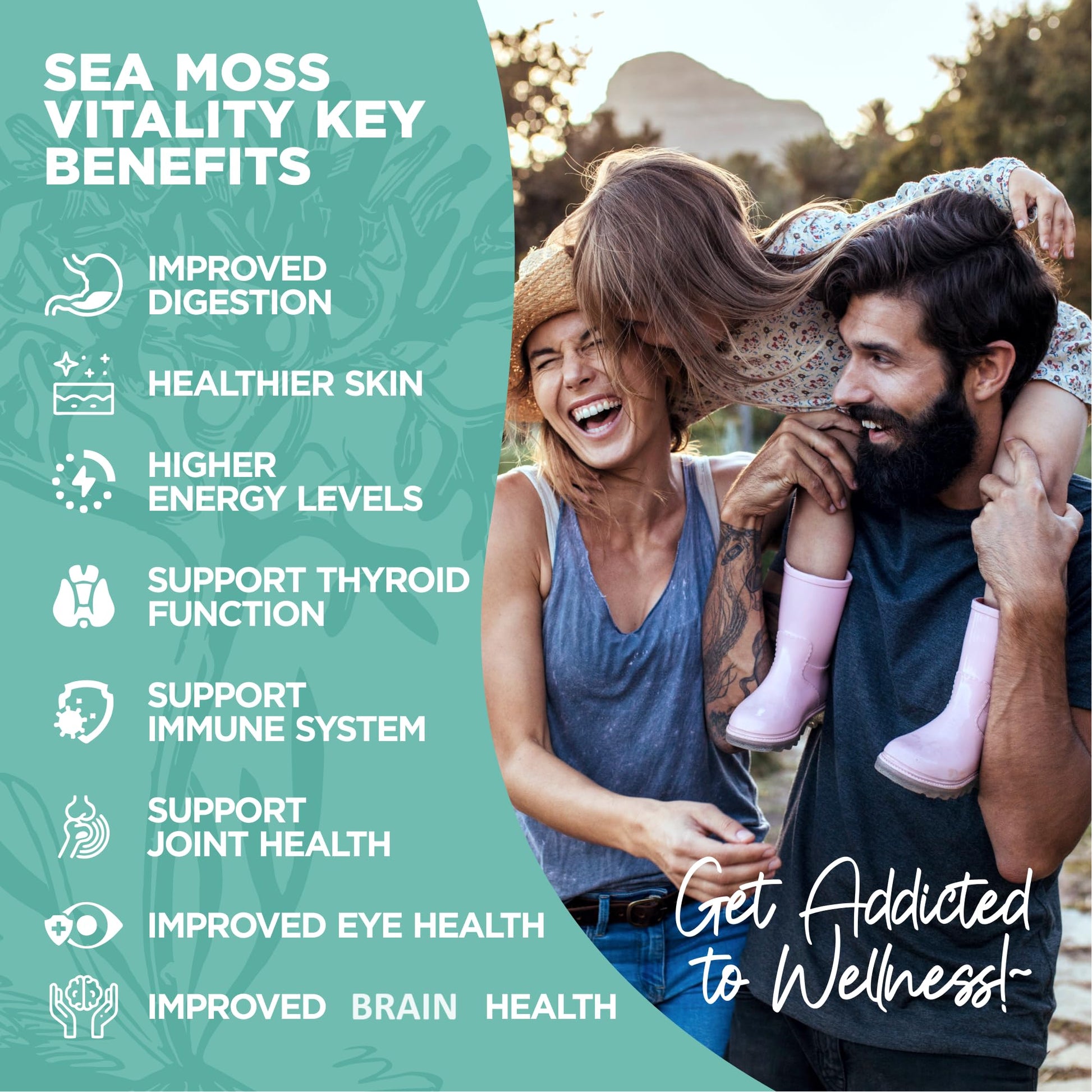 HerbaMe Organic Irish Sea Moss with Bladderwrack, Burdock Root & Black Pepper Extract, 150 Capsules, Thyroid Support, Natural Iodine Source, Promotes Immune System, Cell Food, Alkaline Supplement HerbaMe buy supplements canada
