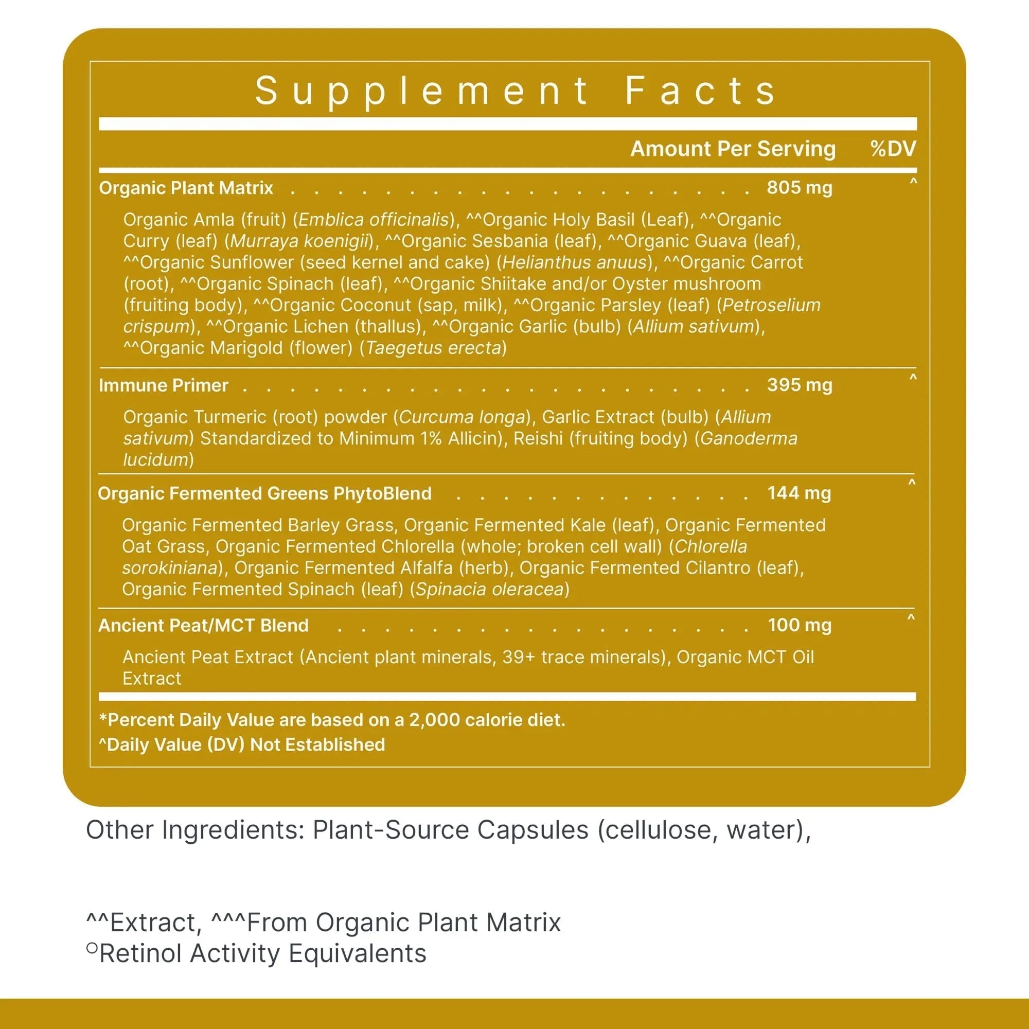 Premier Research Labs Multi-Vitamin - Immune, Brain & Heart Support | with Prebiotics and Postbiotics | Vegan Capsules for Men & Women Premier Research Labs buy supplements canada