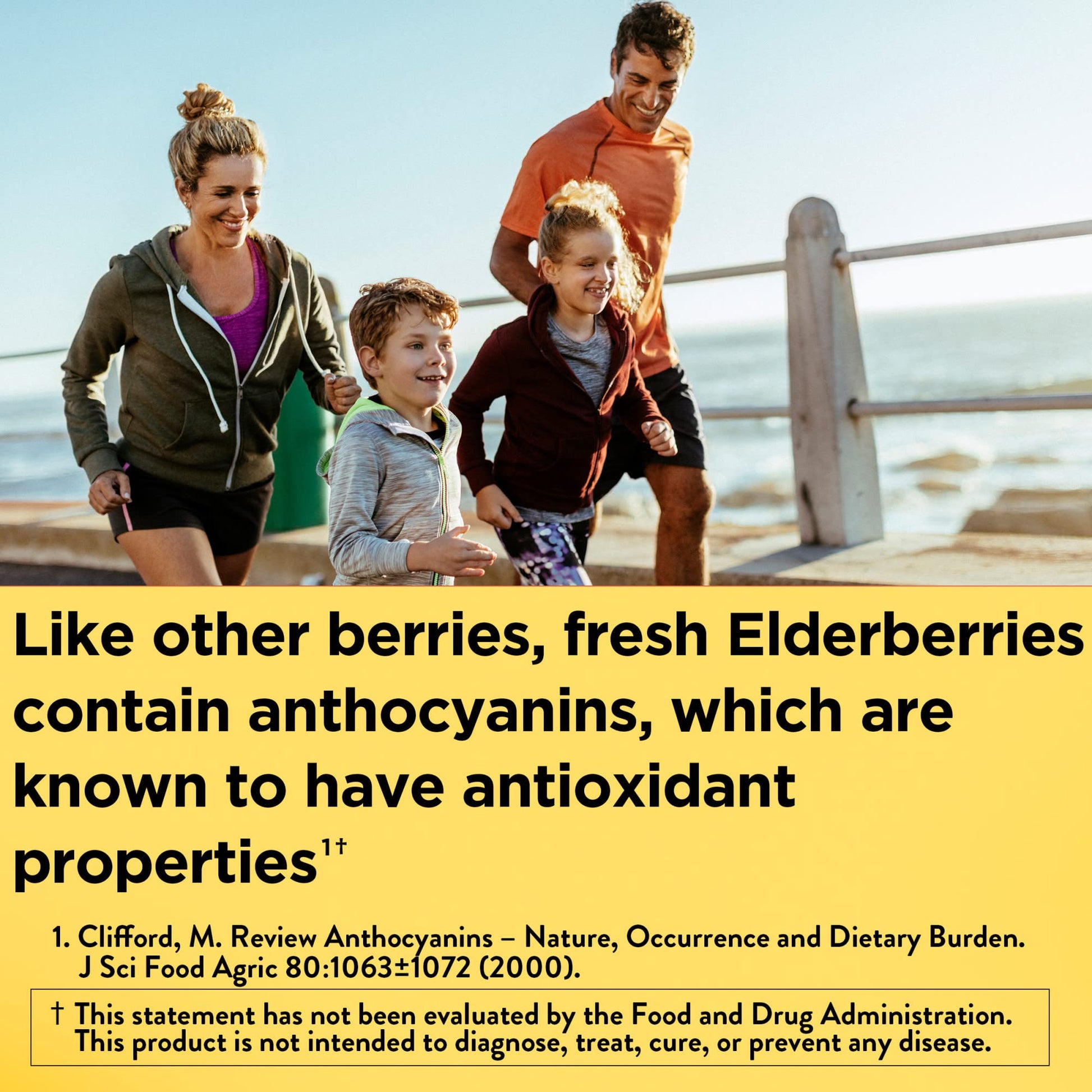 Nature Made Elderberry 400 mg Extract with Vitamin C and Zinc, Dietary Supplement Nature Made buy supplements canada