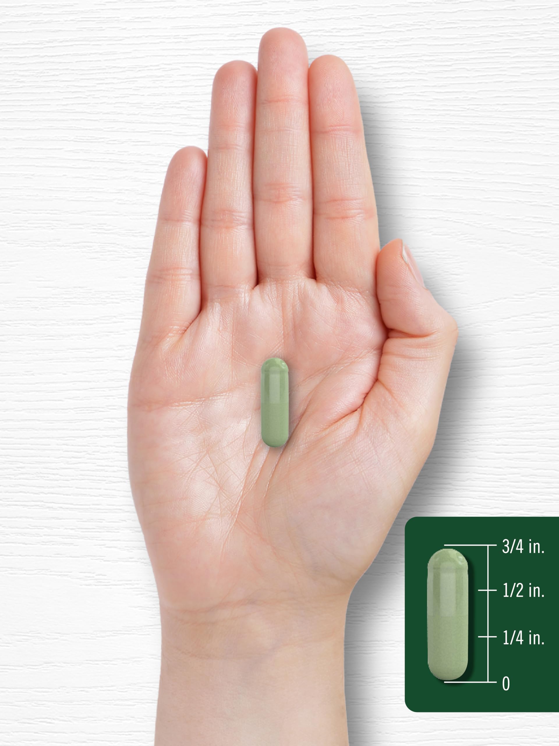 Carlyle Moringa Oleifera Supplement | 180 Capsules | Complete Green Superfood for Women and Men | Non-GMO and Gluten Free Carlyle buy supplements canada