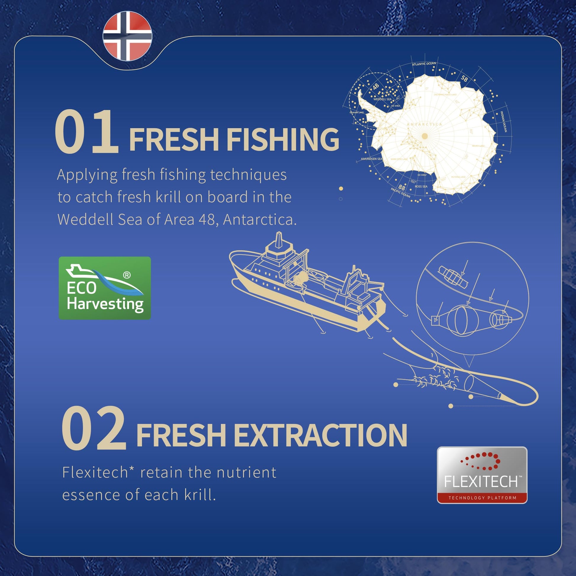 NYO3 Antarctic Krill Oil 1000mg Omega 3 Supplement, EPA & DHA, 90 Softgels Astaxanthin NYO3 buy supplements canada