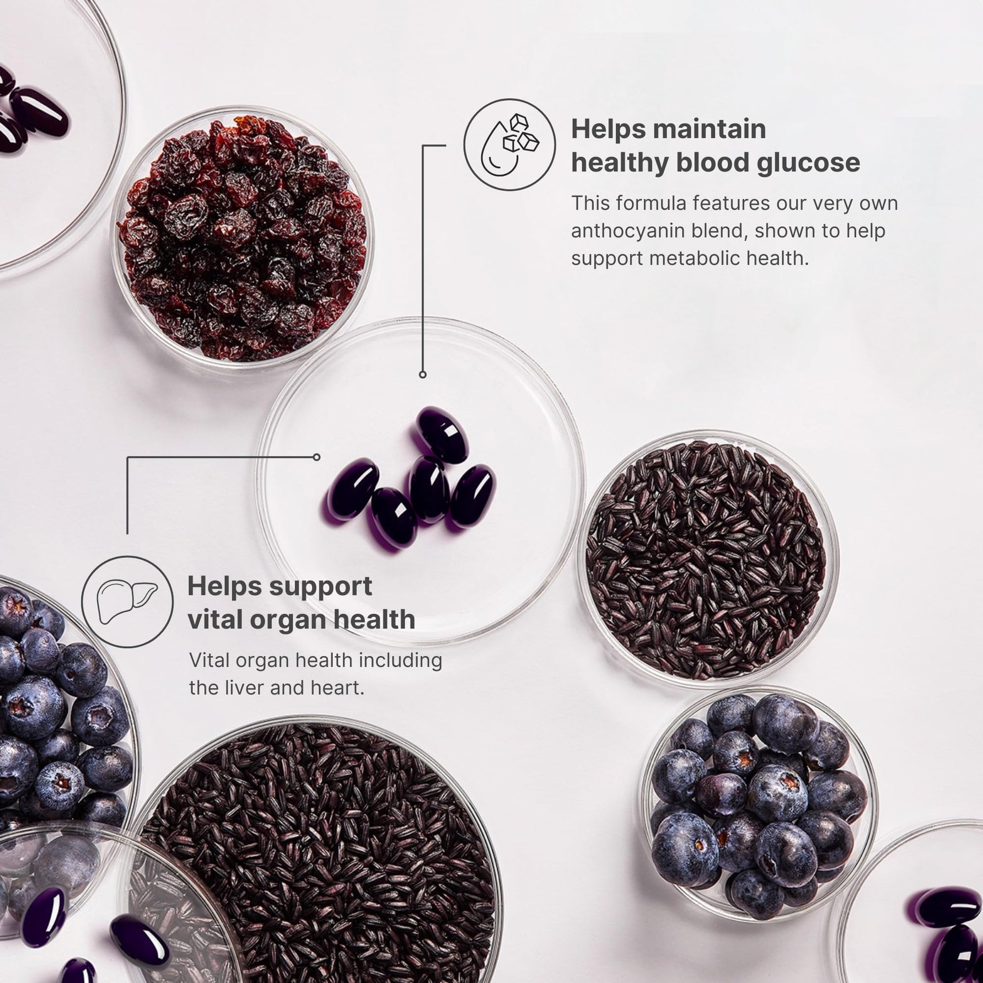 Nu Skin ageLOC Meta | Premium Dietary Supplement | Advanced Soft Gel Capsules Promoting Metabolic Health, Immune Support, Antioxidant Defense, and Improved Gut Health Nu Skin buy supplements canada