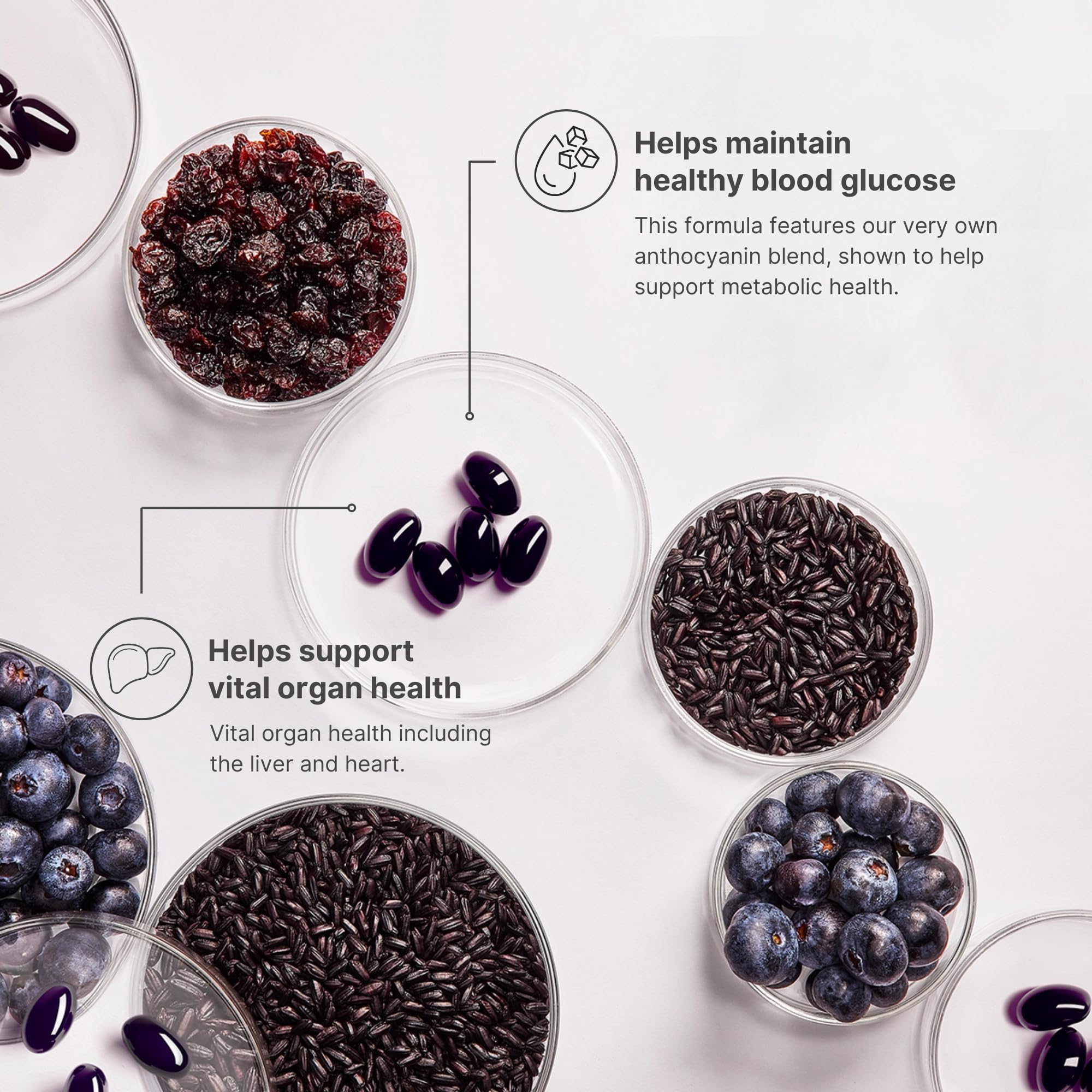 Nu Skin ageLOC Meta | Premium Dietary Supplement | Advanced Soft Gel Capsules Promoting Metabolic Health, Immune Support, Antioxidant Defense, and Improved Gut Health Nu Skin buy supplements canada