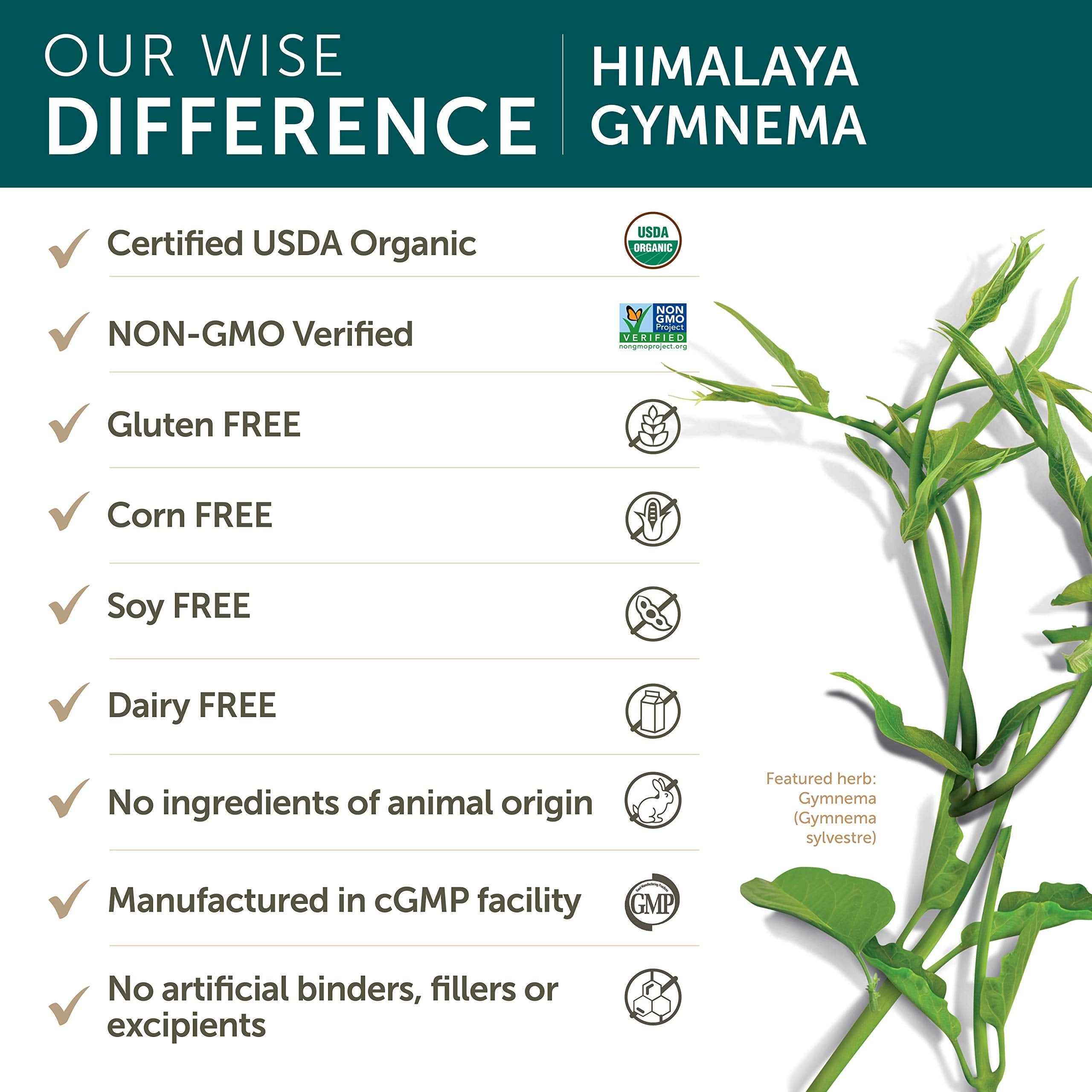 Himalaya Organic Gymnema Sylvestre for Glucose Metabolism, 700 mg Himalaya buy supplements canada