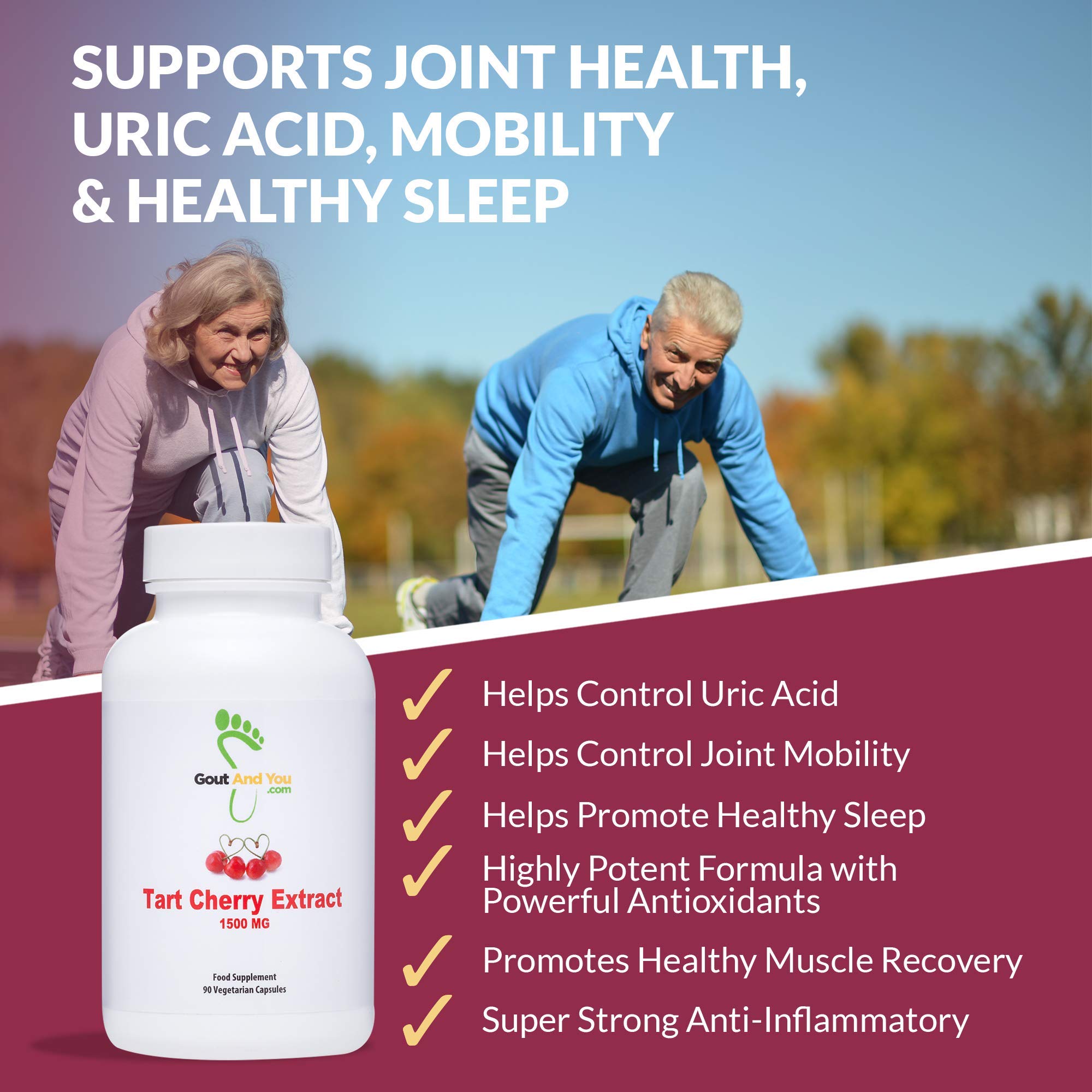 Gout and You Tart Cherry Extract | 3000 mg Per Serving | 90 Vegetarian Capsules | Gluten-Free Gout and You buy supplements canada