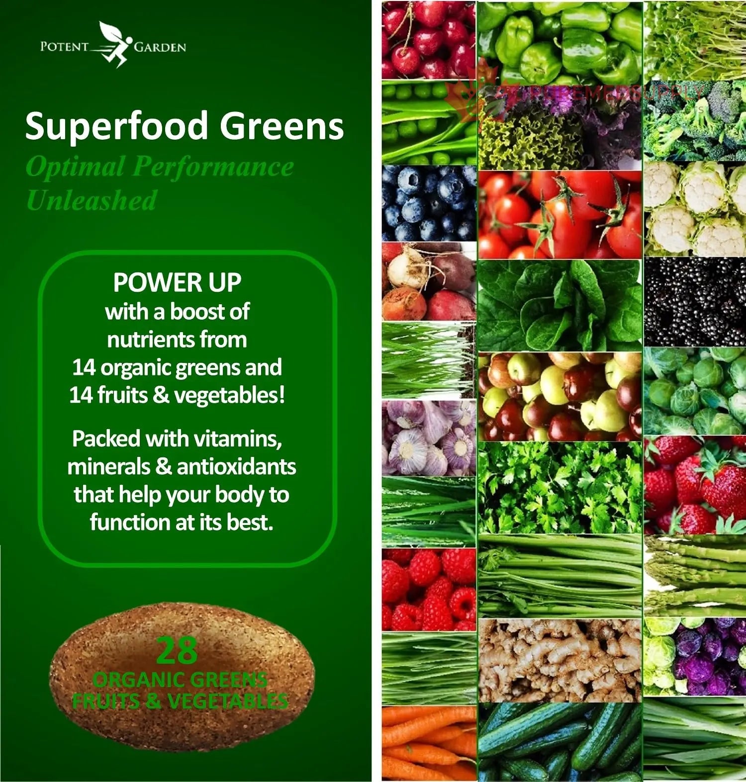 Potent Garden Daily Nutrition Bundle – Superfood Greens + Multivitamin Potent Garden buy supplements canada