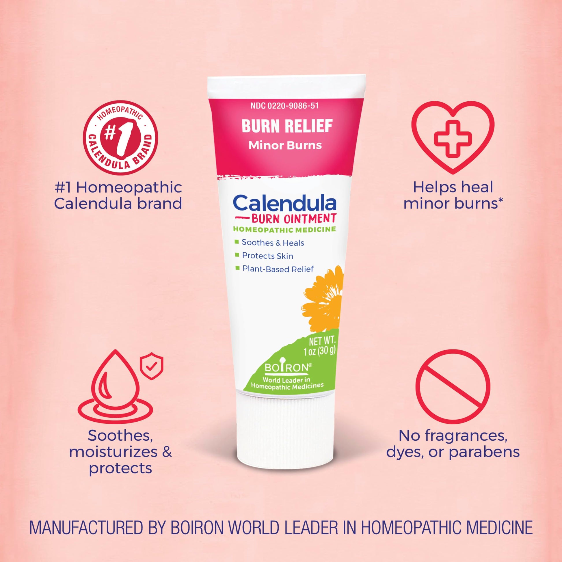 Boiron Calendula Burn Ointment for Relief from Minor Burns from Cooking, Friction, or Sunburns - 1 oz Boiron buy supplements canada