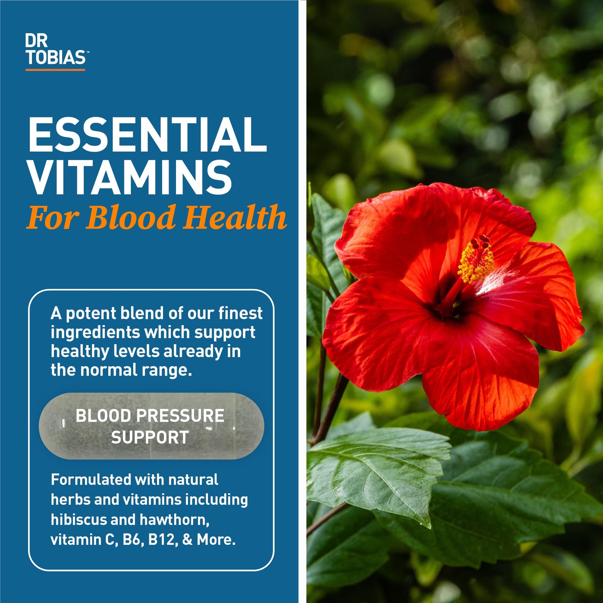 Dr. Tobias Blood Pressure Support Supplement with Hawthorn, Hibiscus Flower, Olive Leaf & Garlic, Supports Normal Circulatory Health with Vitamins C, B6, B12, Niacin, Folate & Herbs, 90 Capsules Dr. Tobias buy supplements canada