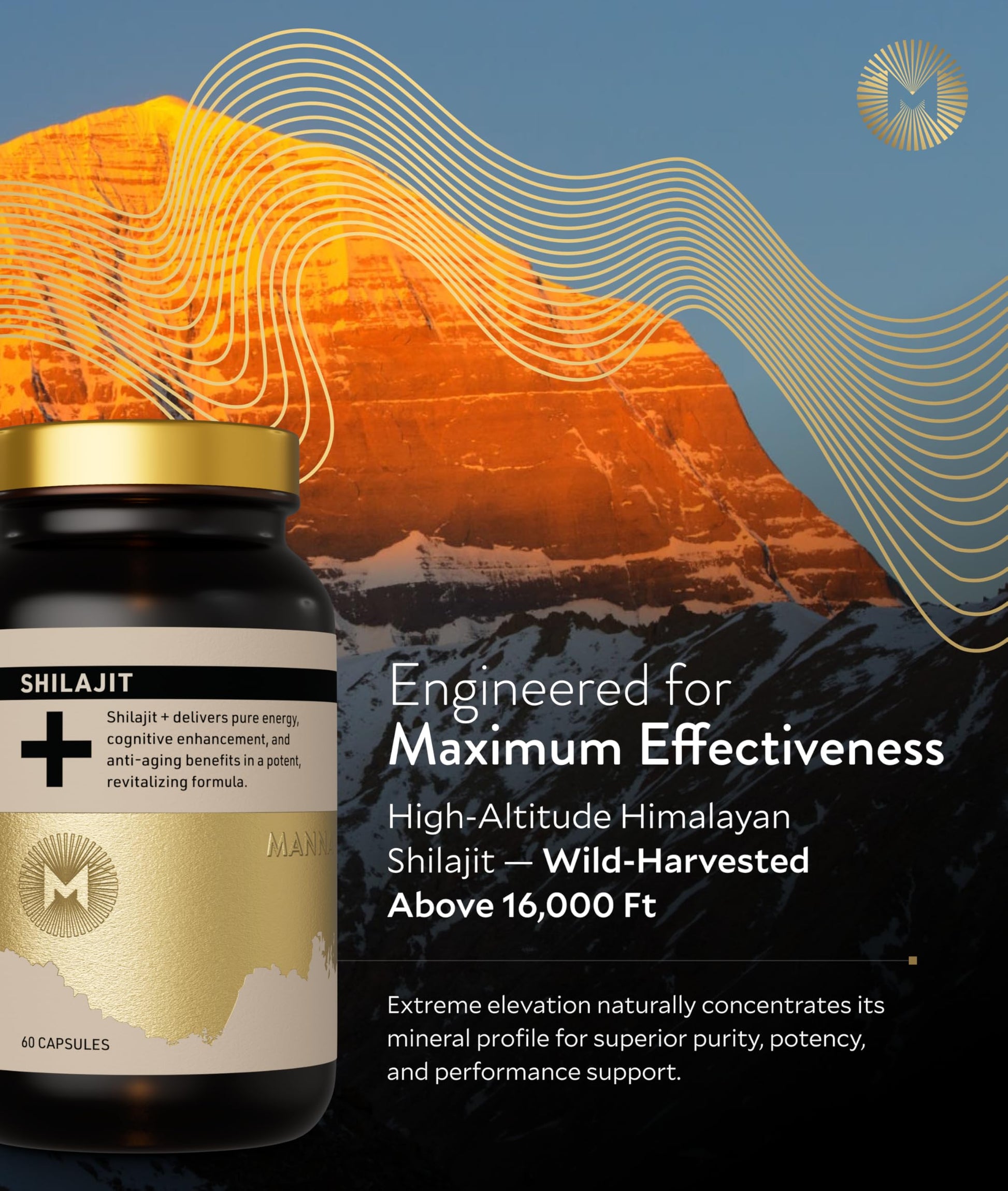 Manna Vitality Shilajit+ Capsules | 1000mg Purified Himalayan Shilajit Resin Supplement | Highest Bioavailability | Energy, Performance, Detox, Vitality, Mental Clarity & Cognitive Support | 60 Count M Manna buy supplements canada