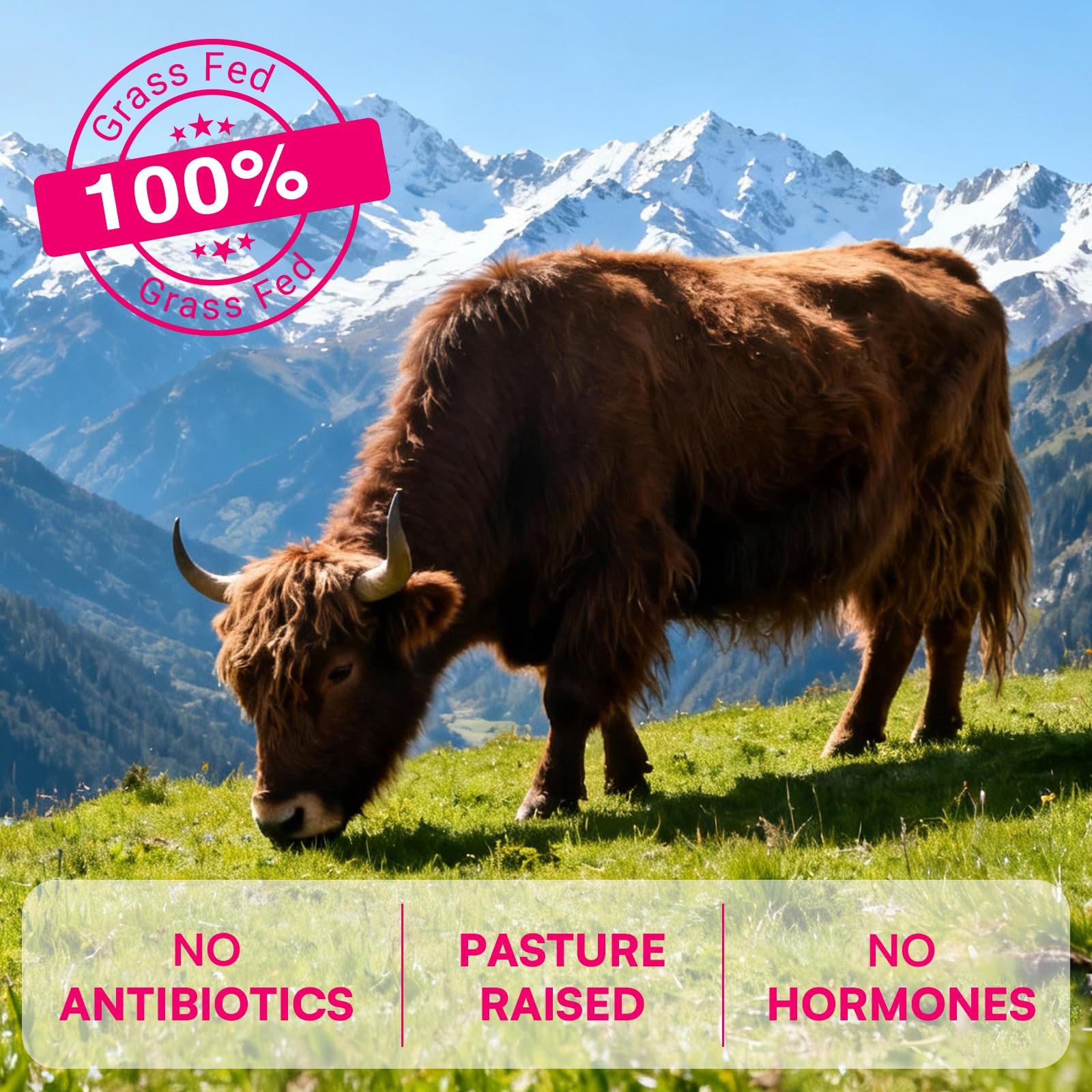 12-In-1 Beef Organ Supplement for Women - Beef Liver, Uterus, Kidney, Heart, Pancreas, 5 Vitamins & 2 Herbs, Hormone Balance, Menstruation, Energy, Immune - 100% Grass Fed, Pasture Raise - 120 Caps Nassiouy buy supplements canada
