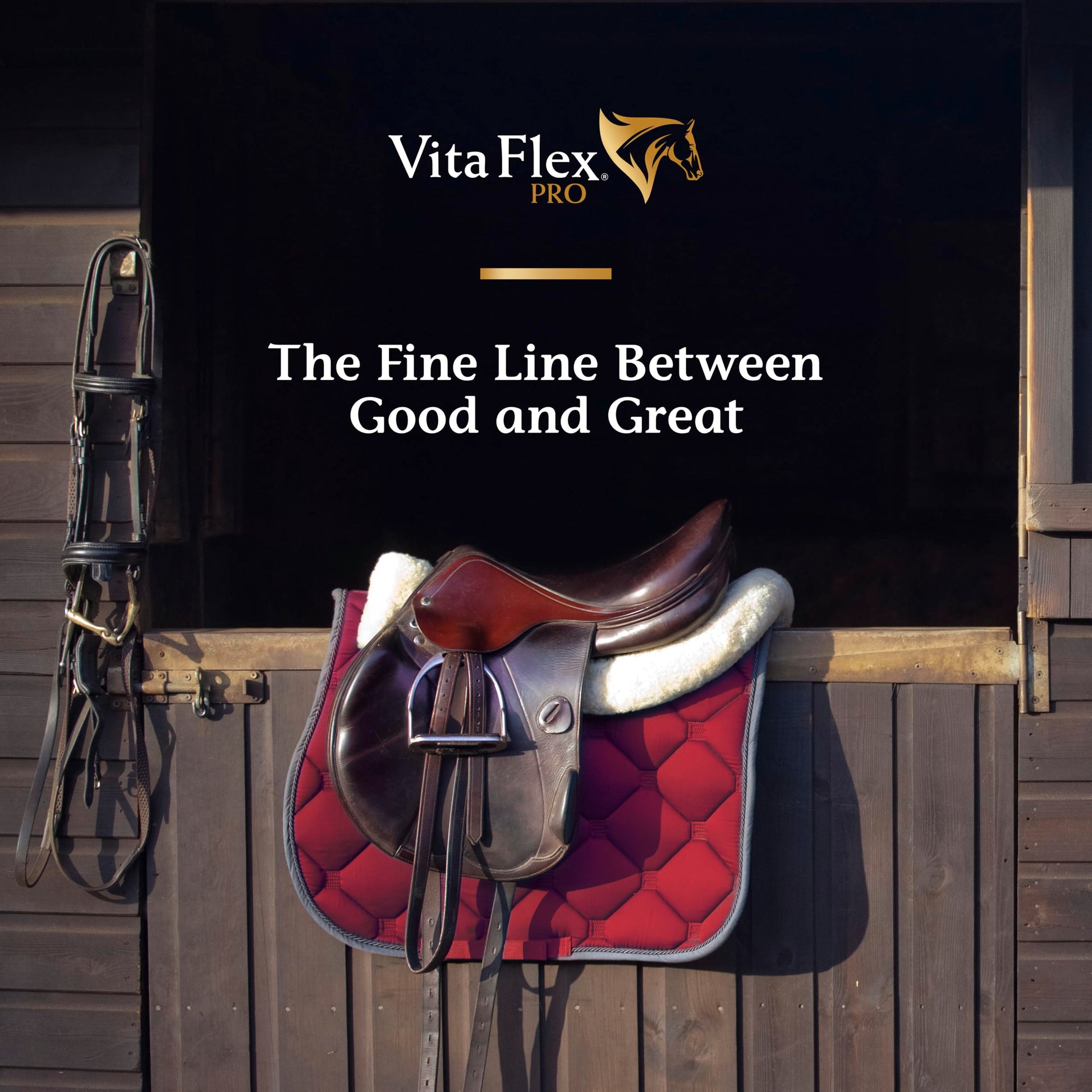 Vita Flex Pro Recovery by the Makers of Lactanase, Post Performance Horse Supplements 40 g, Show Safe Muscle Recovery Supplements, Amino Acids for Horses, Strength & Joint Health Vita Flex buy supplements canada