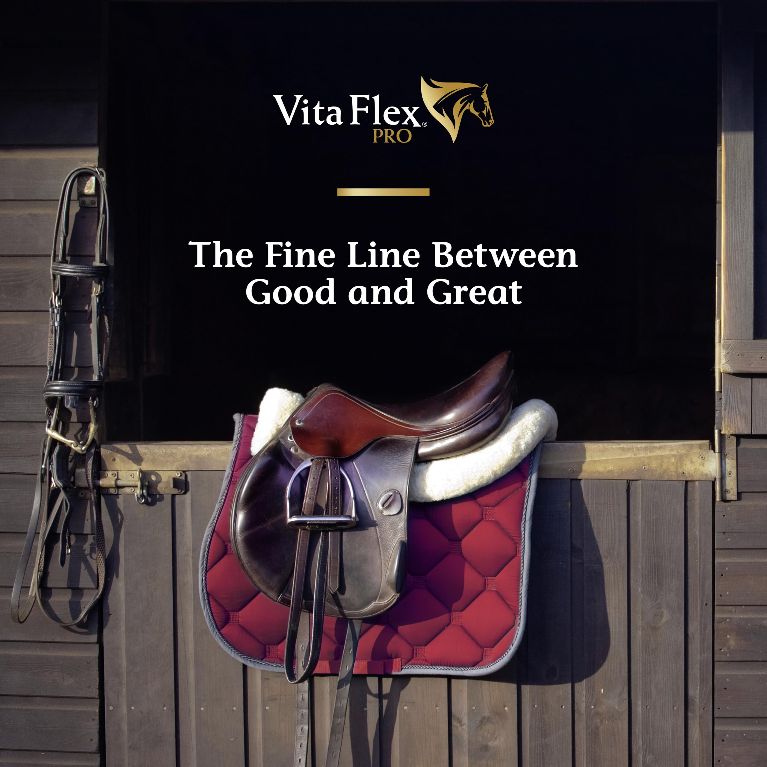 Vita Flex Pro Recovery by the Makers of Lactanase, Post Performance Horse Supplements 40 g, Show Safe Muscle Recovery Supplements, Amino Acids for Horses, Strength & Joint Health Vita Flex buy supplements canada