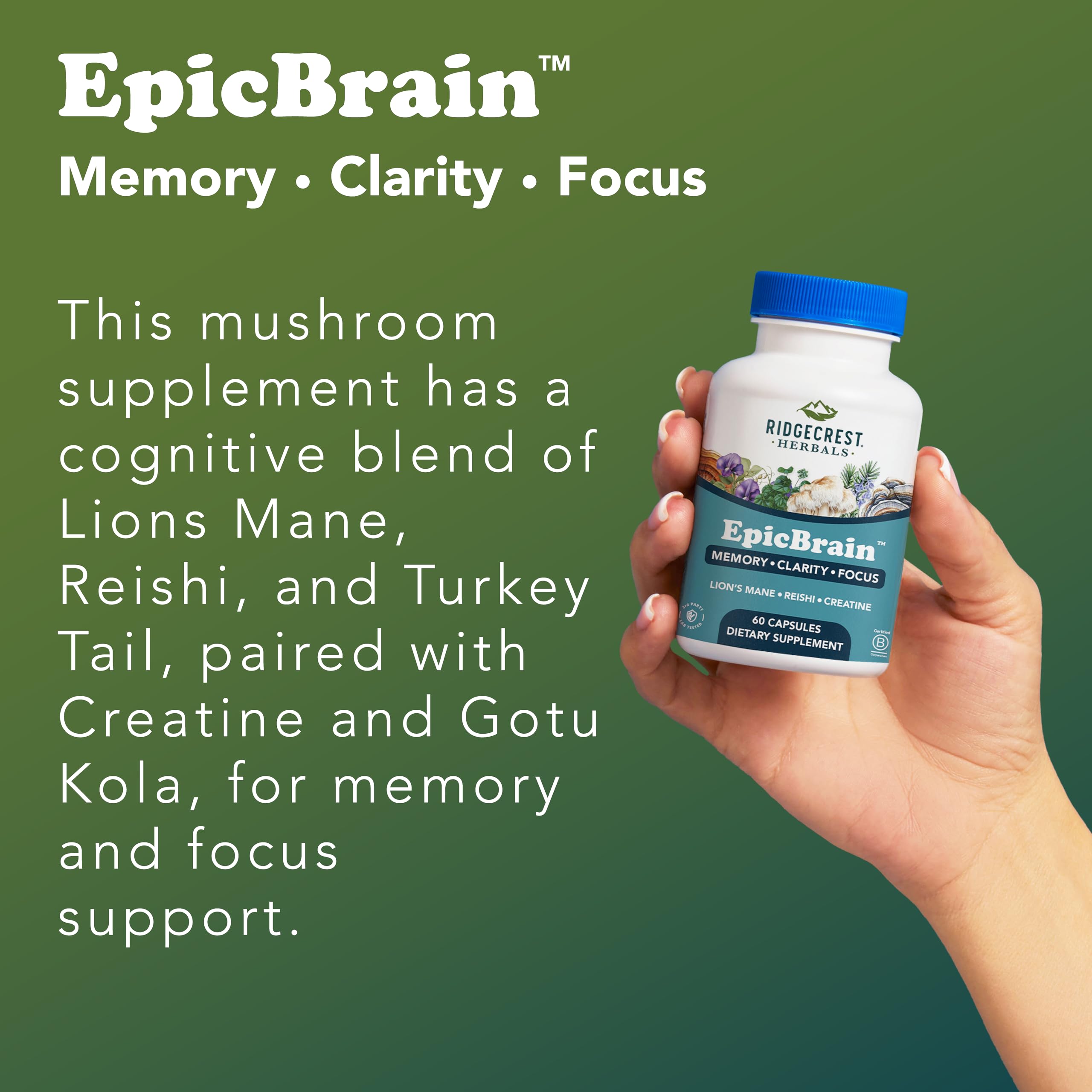 RidgeCrest Herbals EpicBrain, Natural Brain Support Supplement with Creatine Monohydrate, Lion's Mane, Reishi, Supports Mental Clarity, Memory, Focus, Stimulant-Free Nootropic (60 Count, 30 Servings) RidgeCrest Herbals buy supplements canada