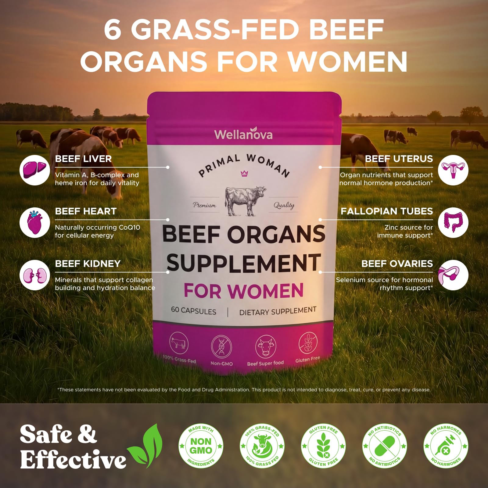 Primal Beef Organ Supplement for Women, Grass-Fed Ancestral Superfood Supplement with Uterus & Liver for Hormone Balance & Queen Energy - 60 Day Supply Wellanova buy supplements canada