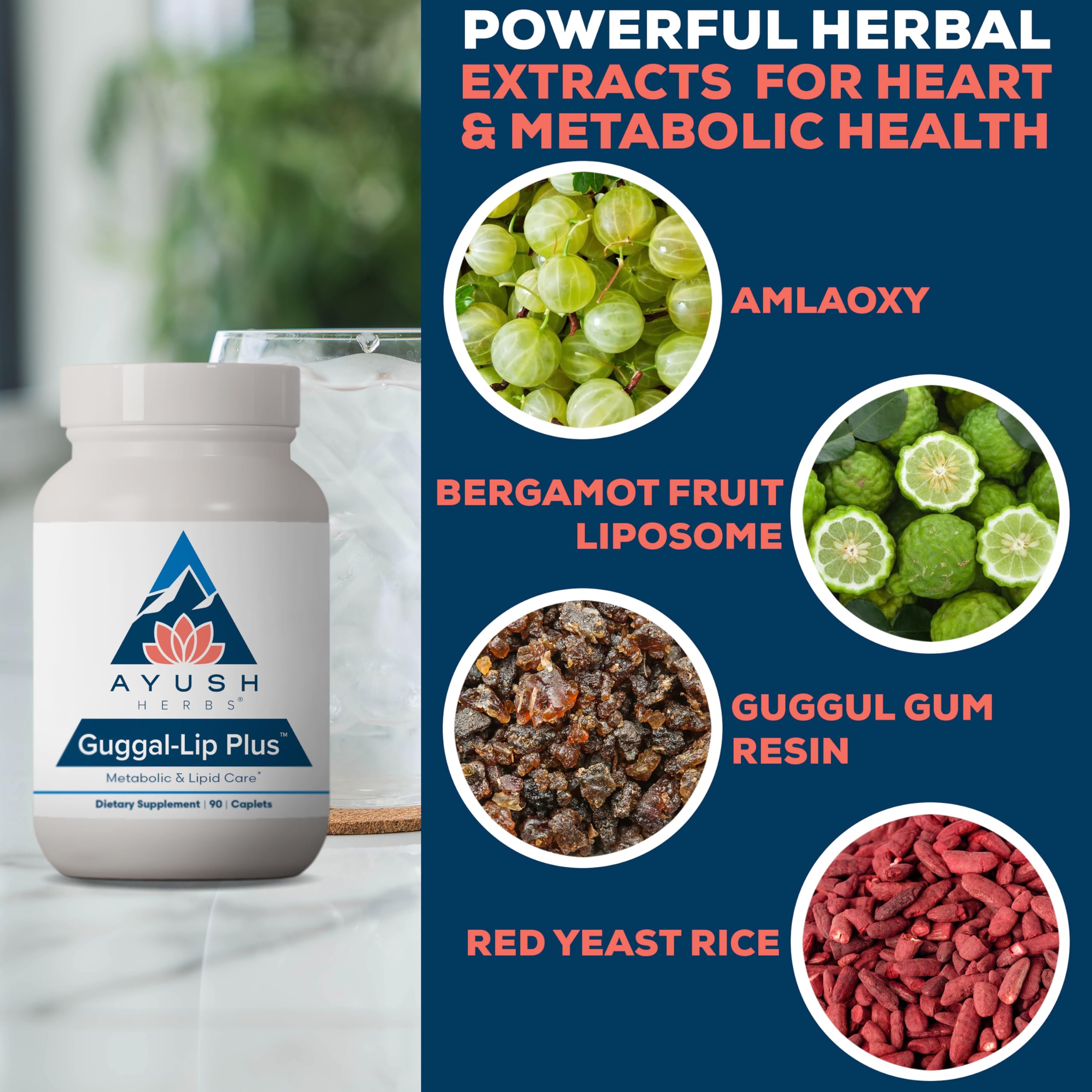 Ayush Herbs Guggal-Lip Plus - Metabolic Vitamins for Women & Men, Daily Pill, Pure & Natural Metabolic Health Supplement with Guggul - 90 Vegetarian Caplets (1 Count) Ayush Herbs buy supplements canada