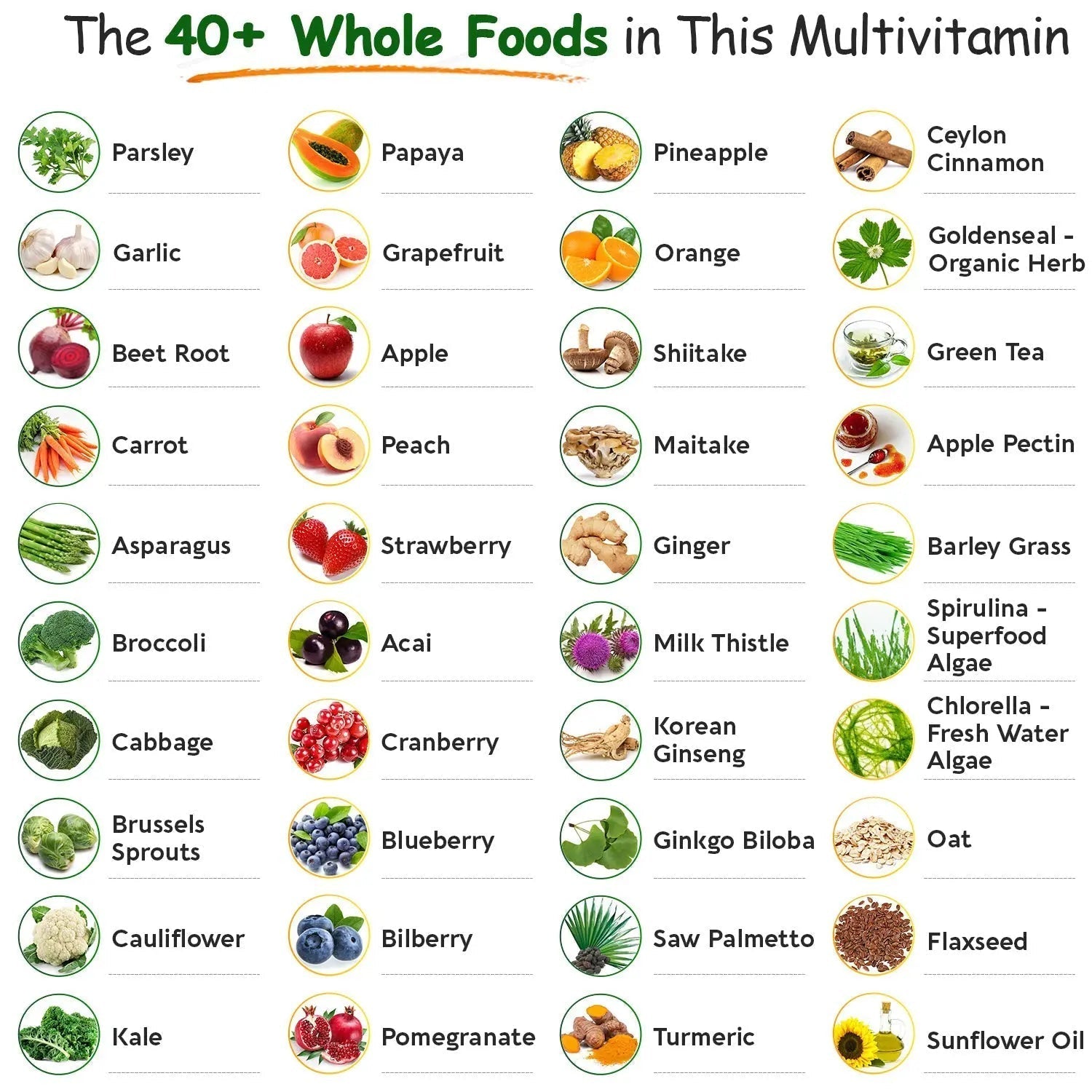 Wholesome Wellness Whole Food Multivitamin for Men - Natural Multi Vitamins, Minerals, Organic Extracts - Vegan Vegetarian - 120 Tablets Wholesome Wellness buy supplements canada